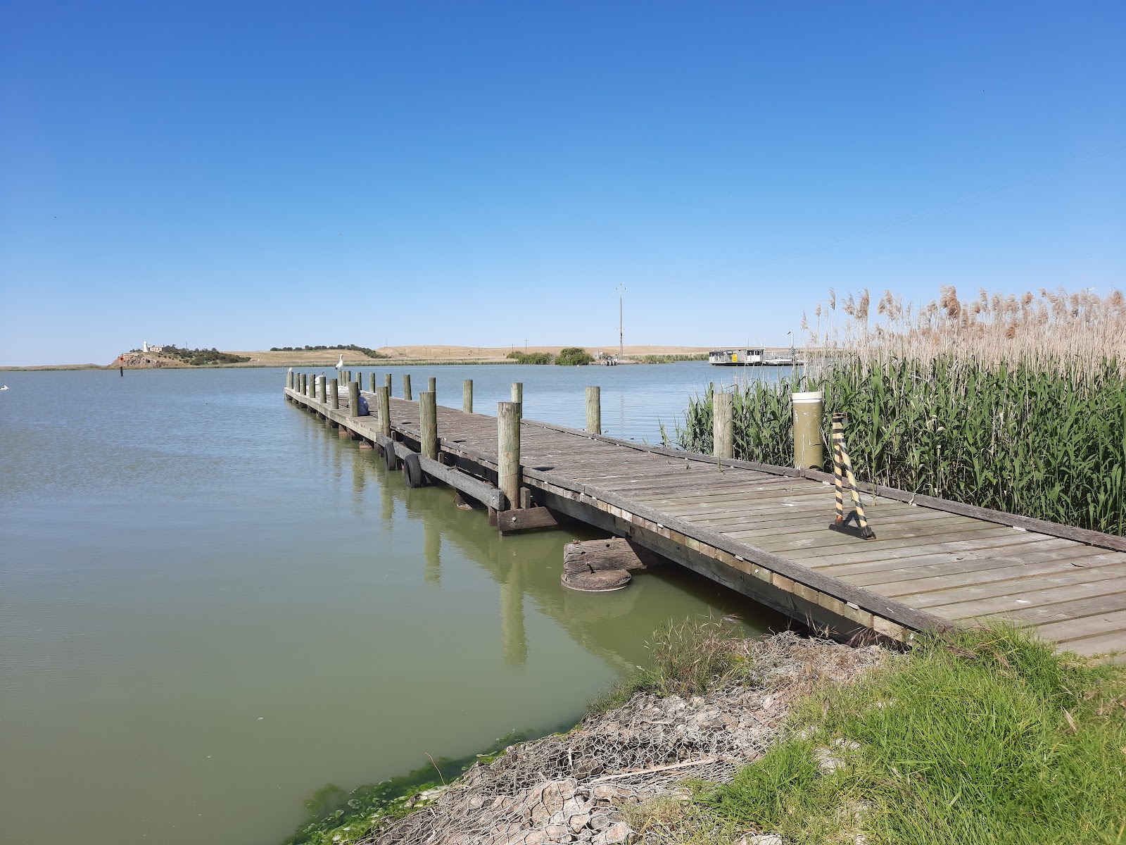 Narrung Jetty Reserve 5