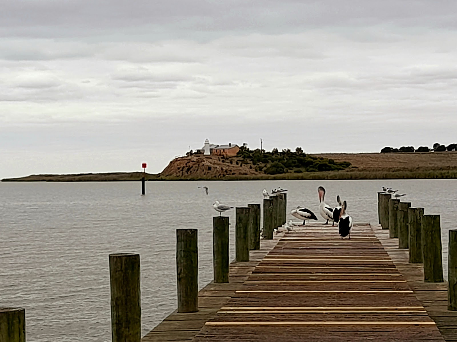 Narrung Jetty Reserve 4
