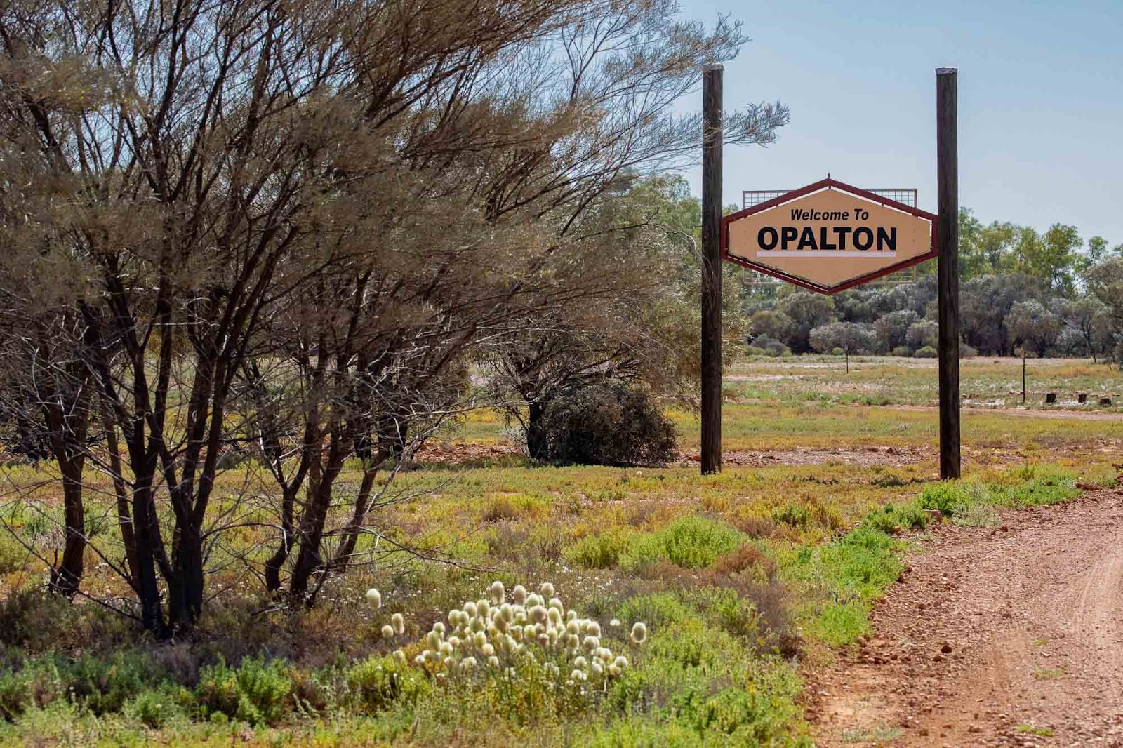 Opalton Bush Park 3