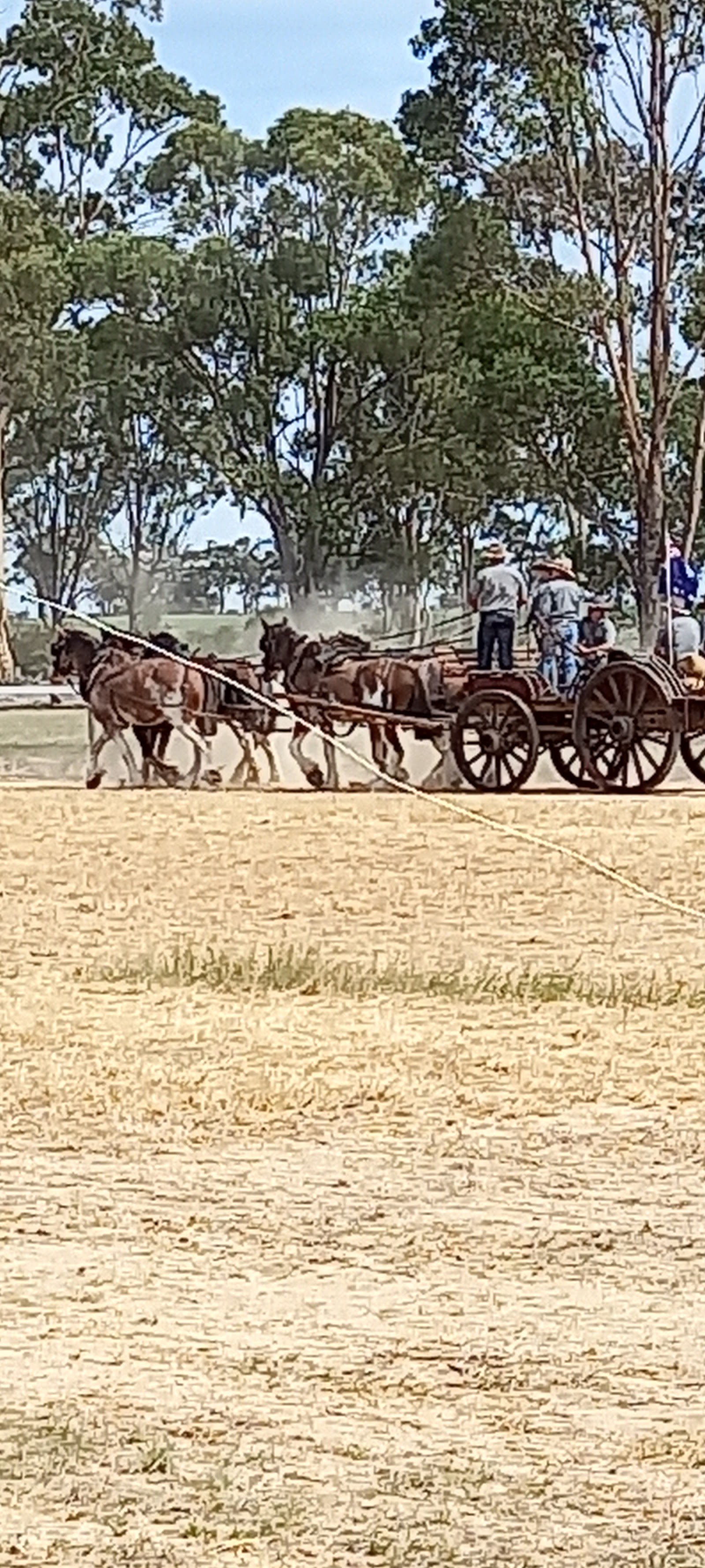 Moora Racecourse & Recreation Reserve 2