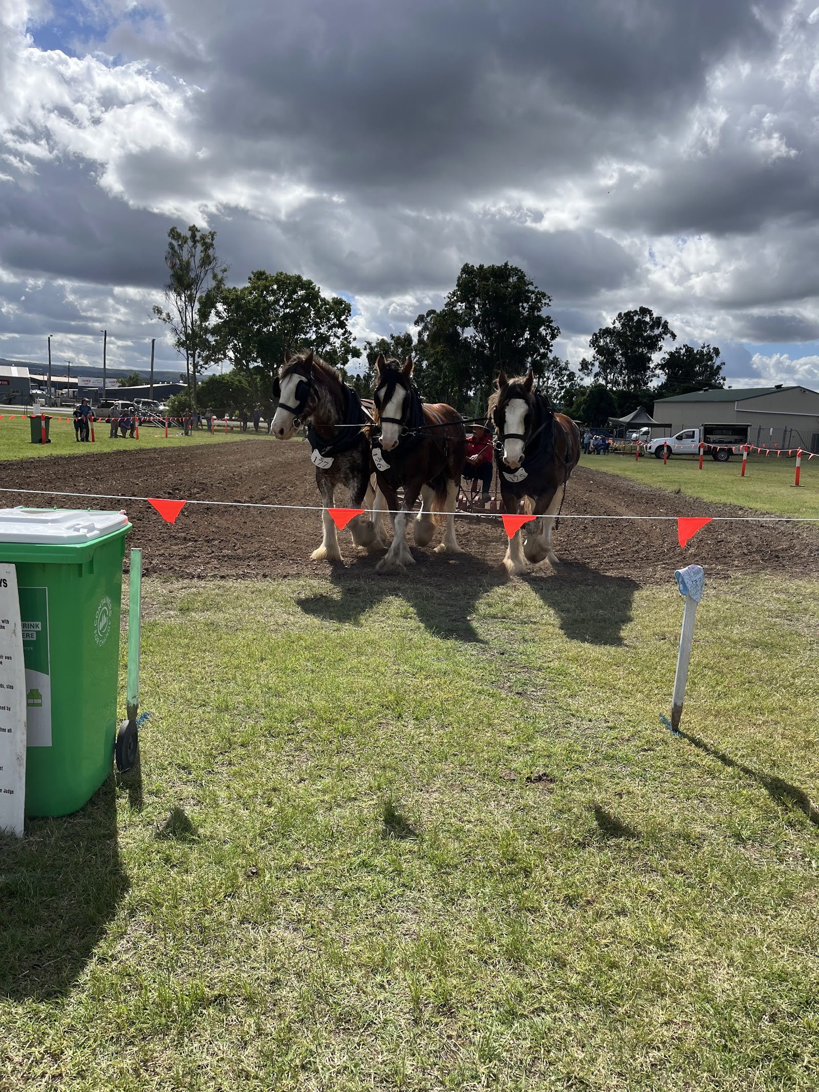 Gatton Showgrounds 3