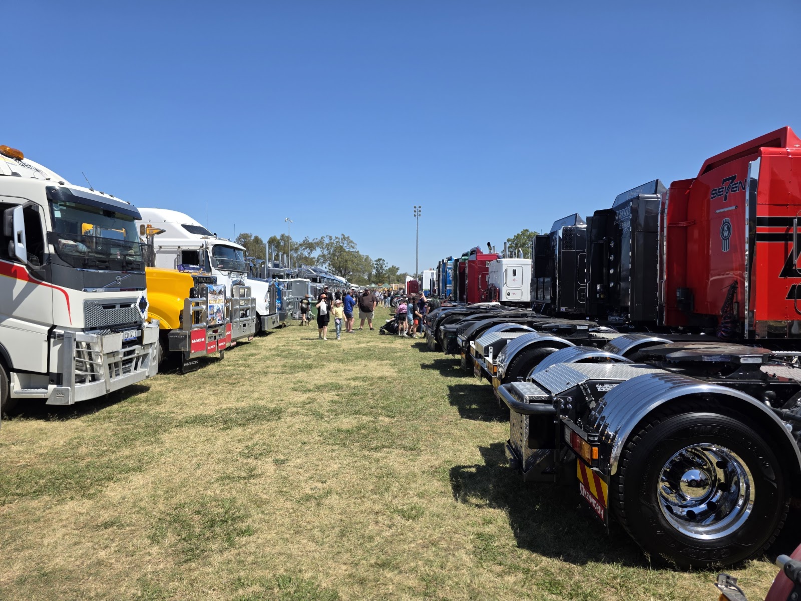 Gatton Showgrounds 4