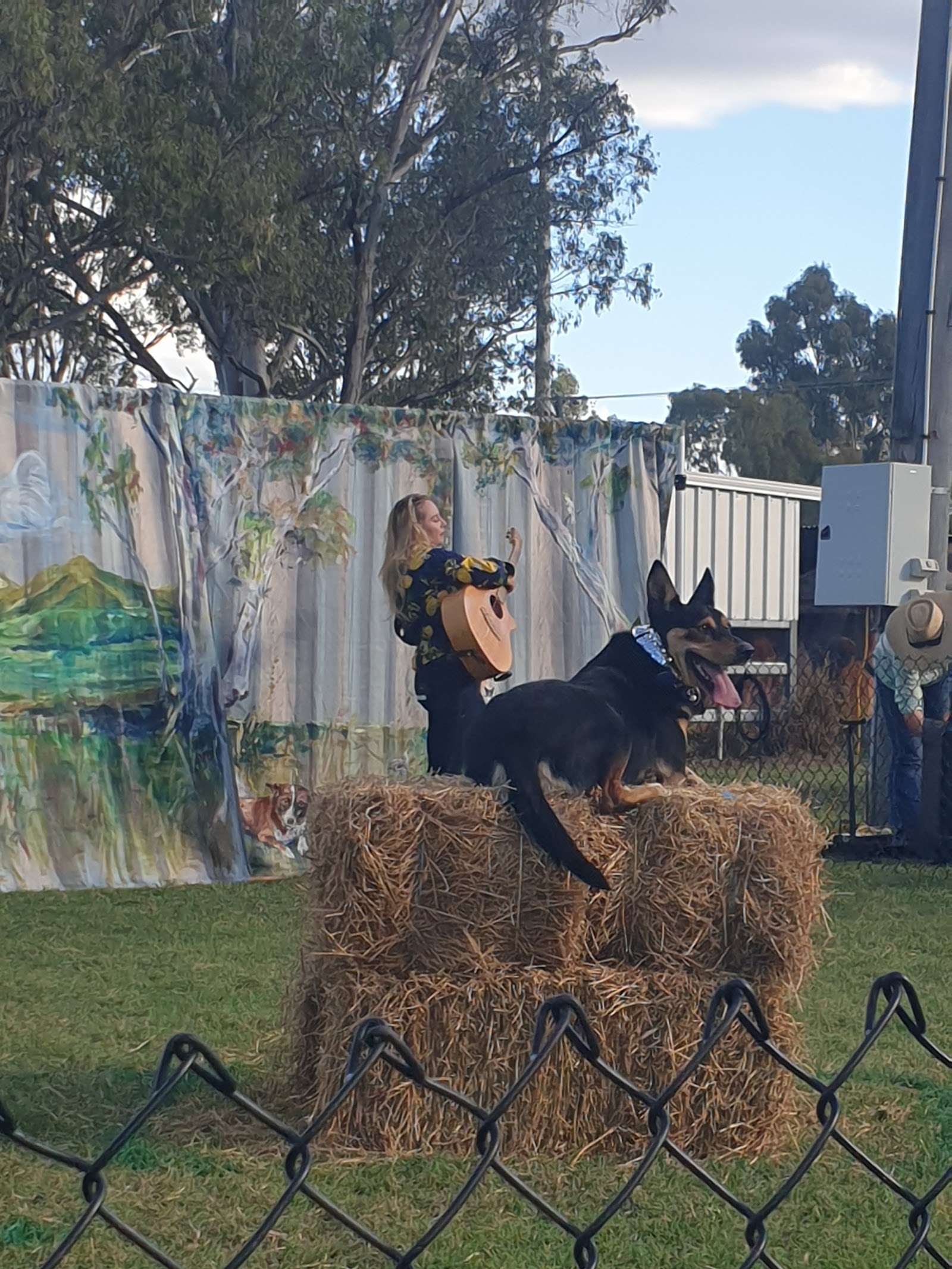 Eidsvold Showgrounds 3