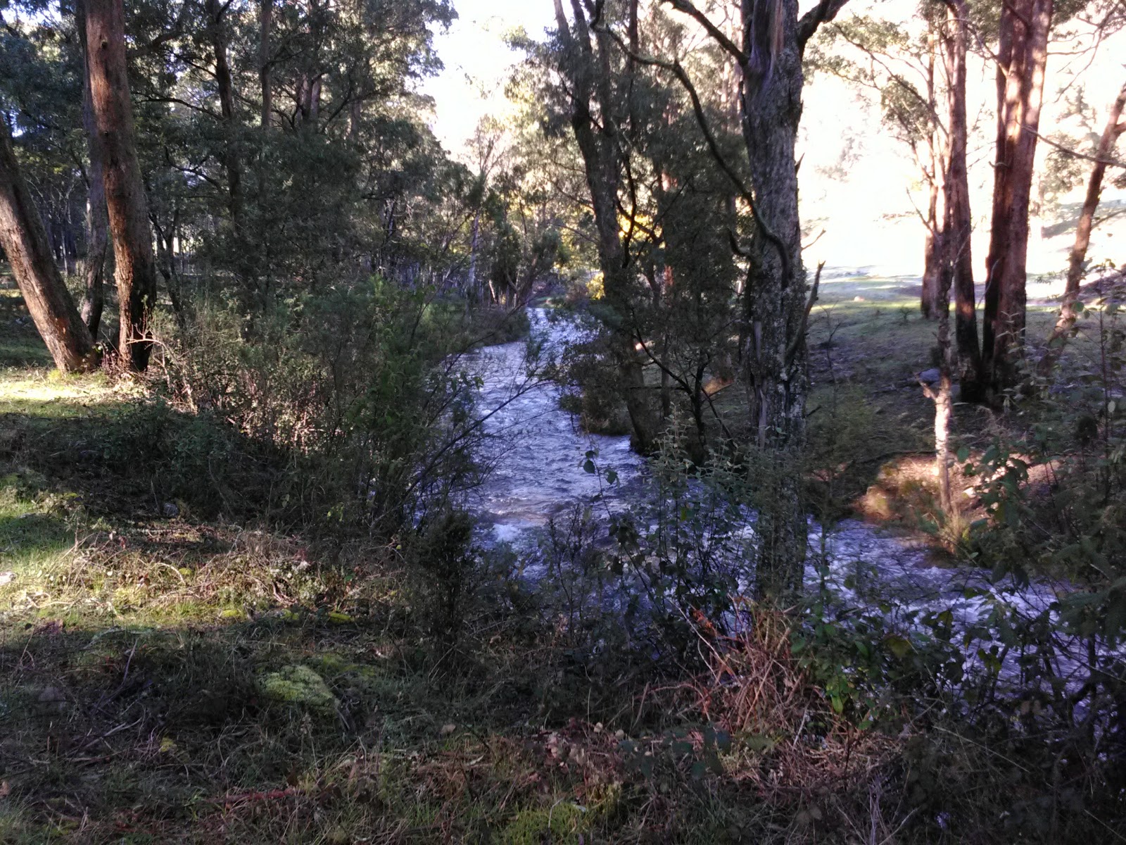 Beveridges Campground 2