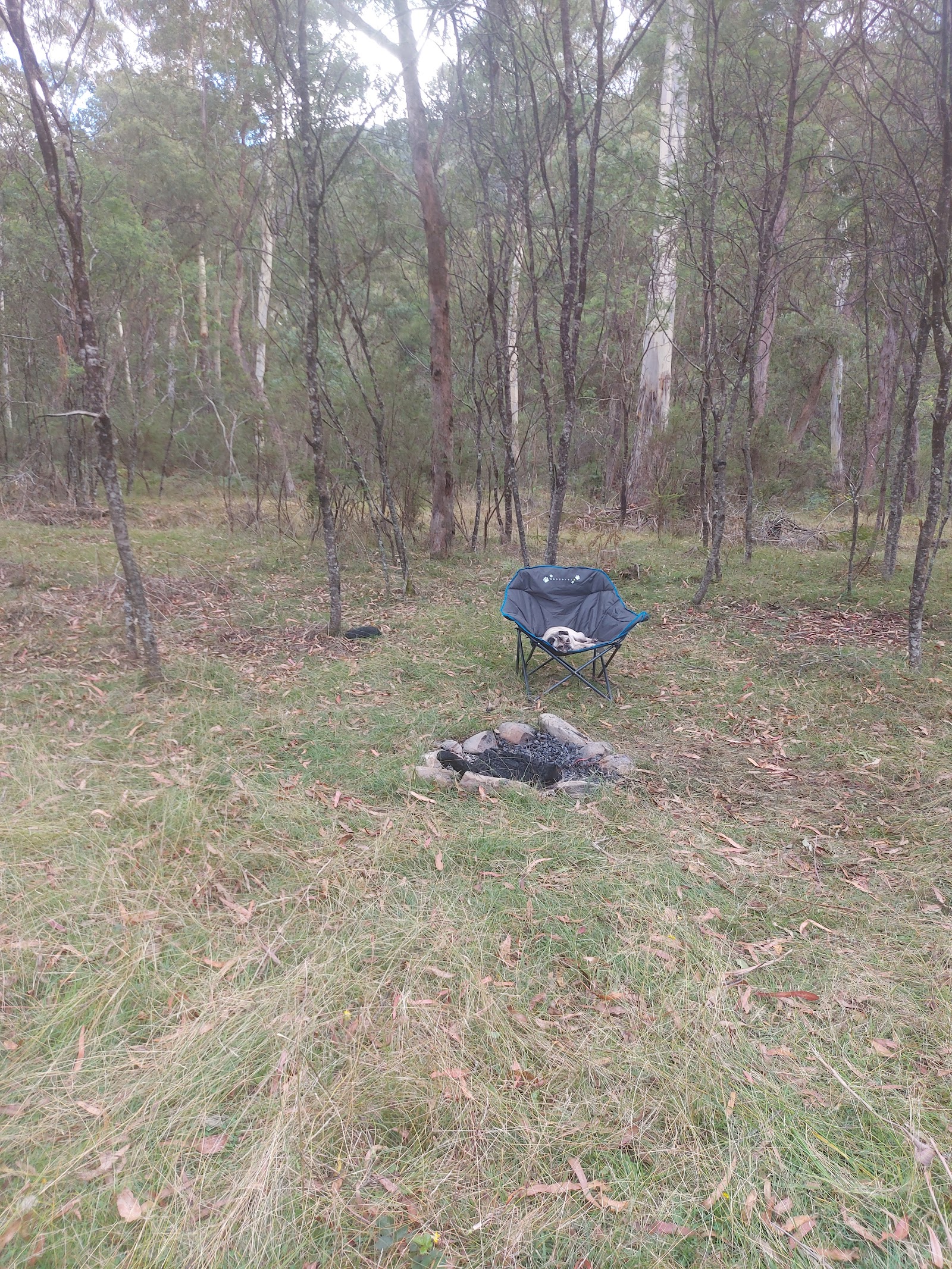 Beveridges Campground 3