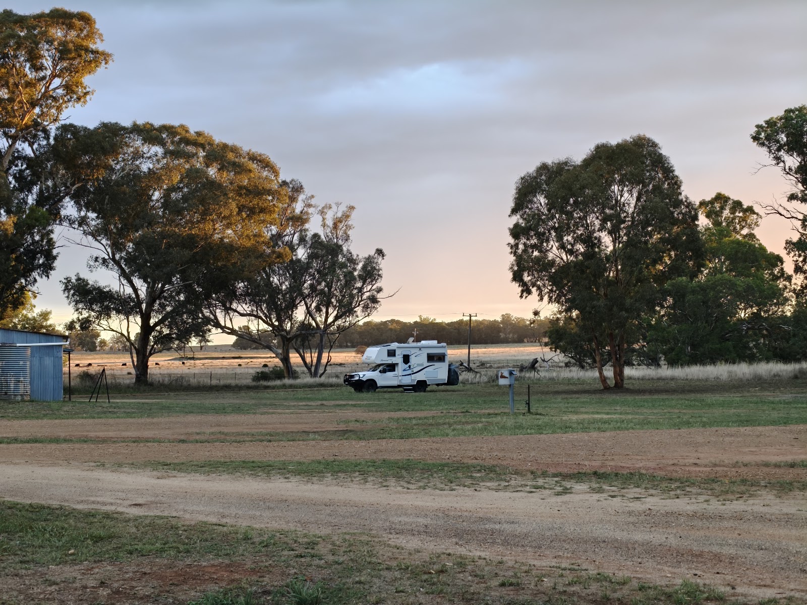 Yeoval Showground 2