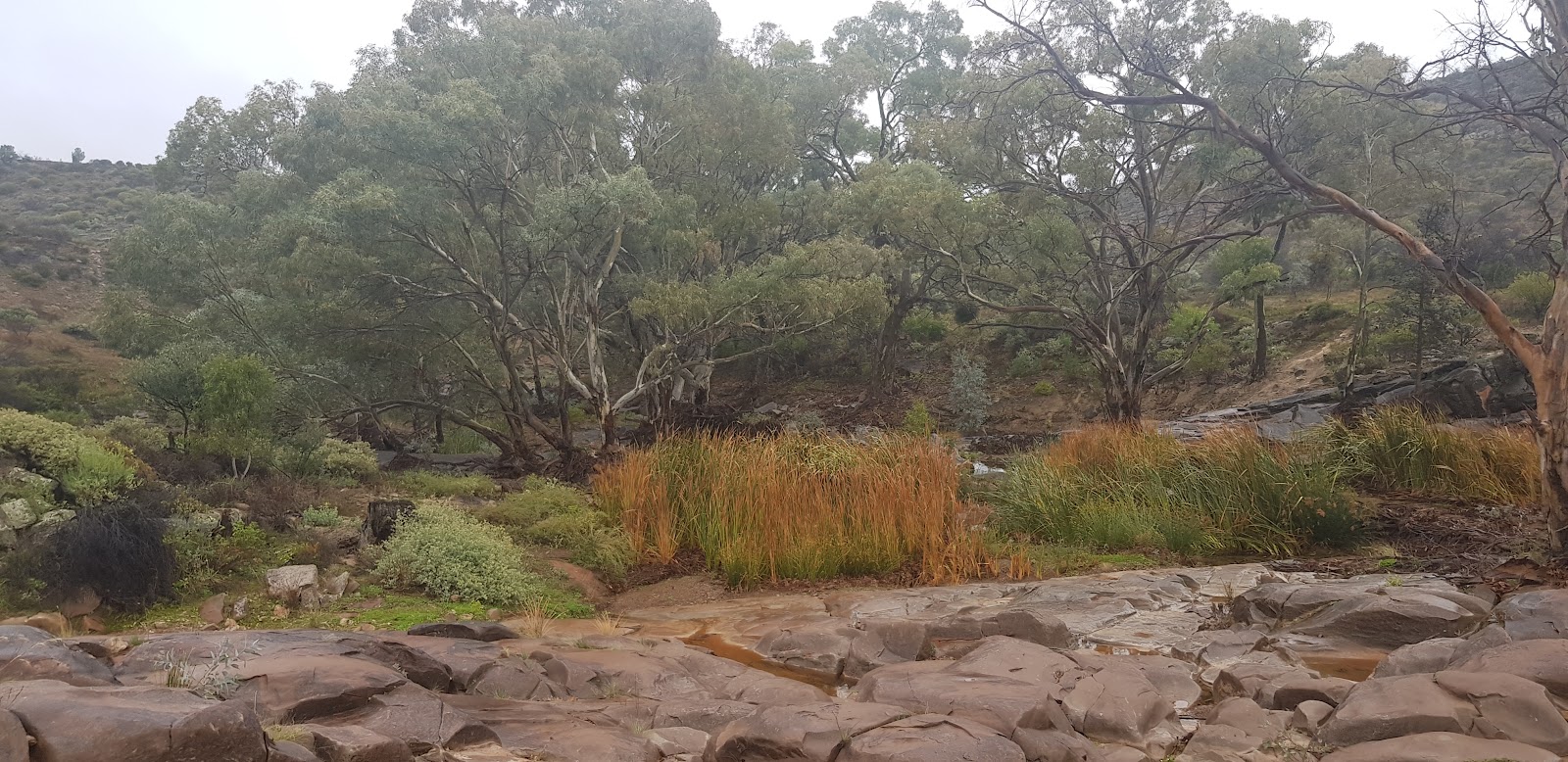 Dingley Dell Campground 3