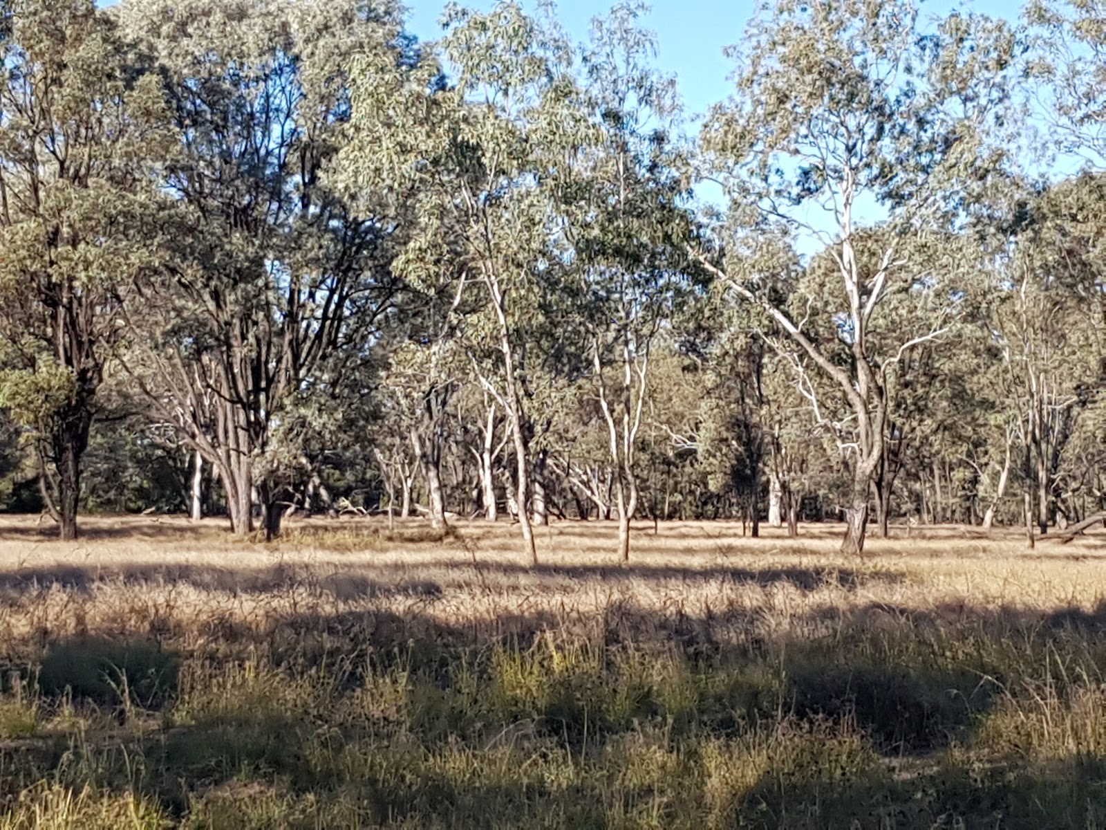 Wetlands Reserve 3