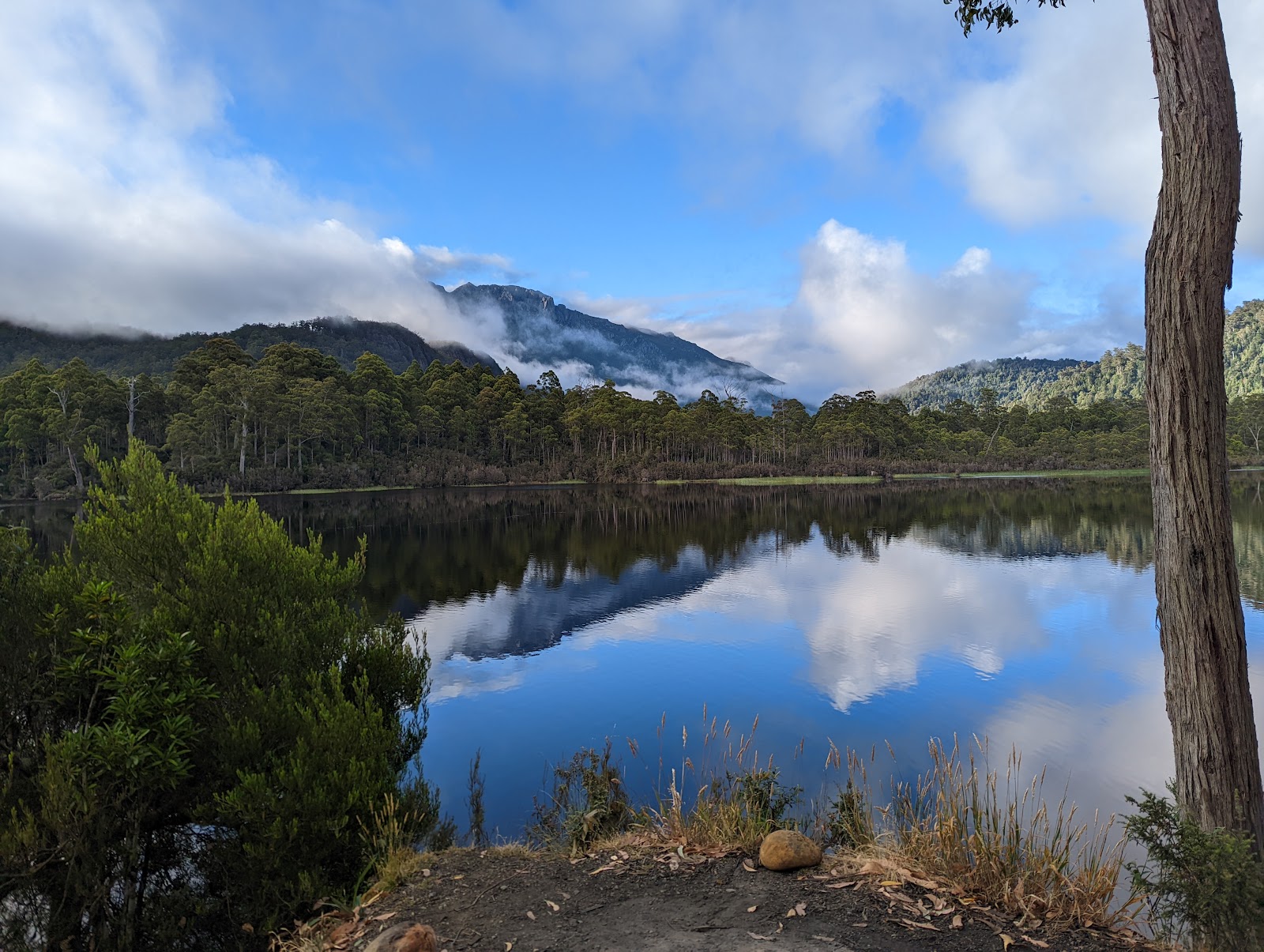 Lake Rosebery Foreshore 2