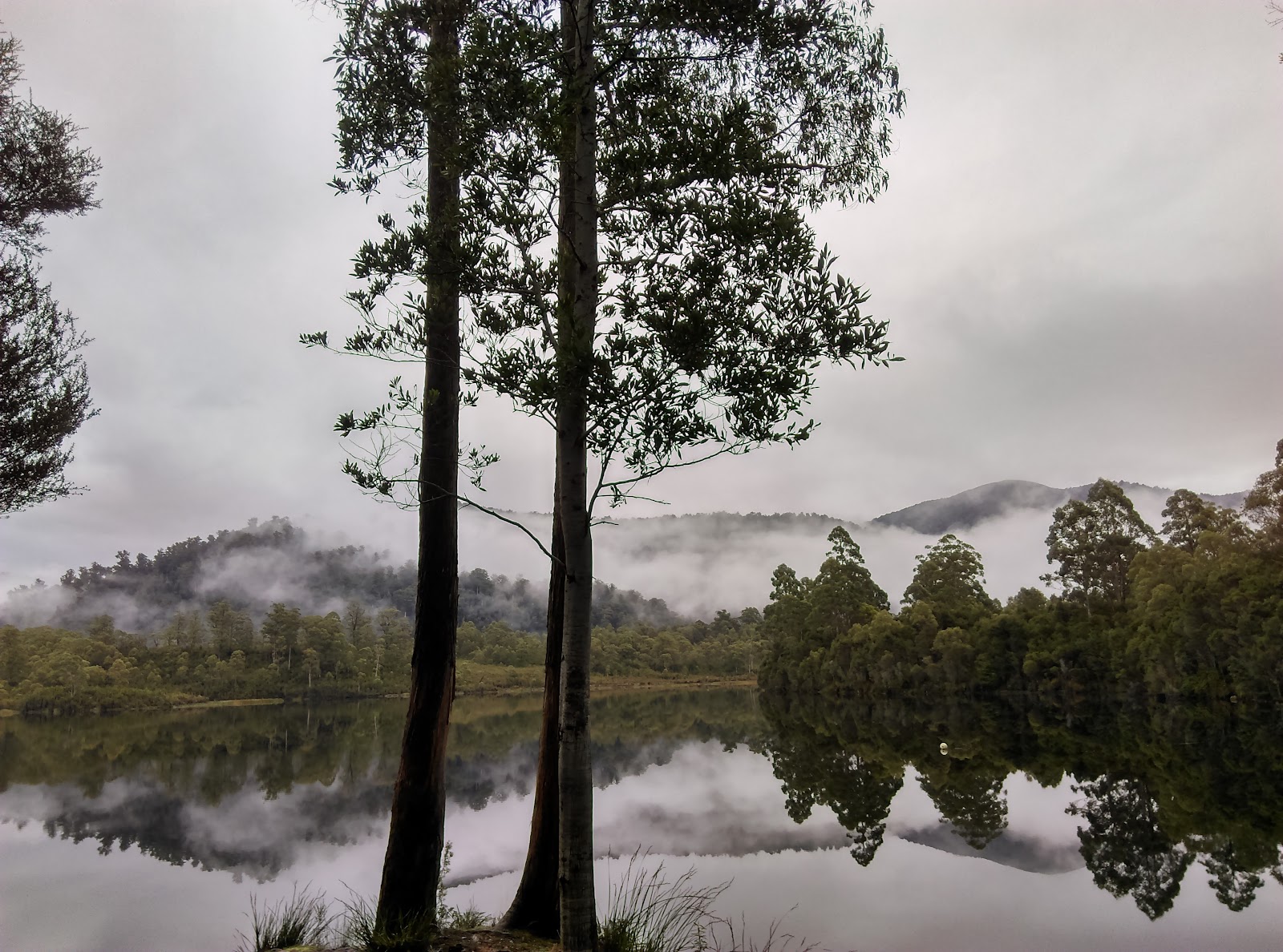 Lake Rosebery Foreshore 3