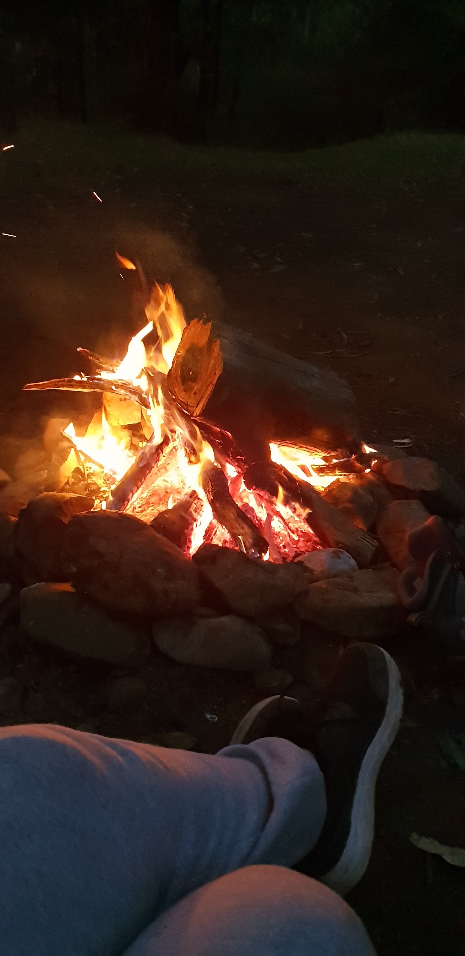 Ah Youngs Campsite 2