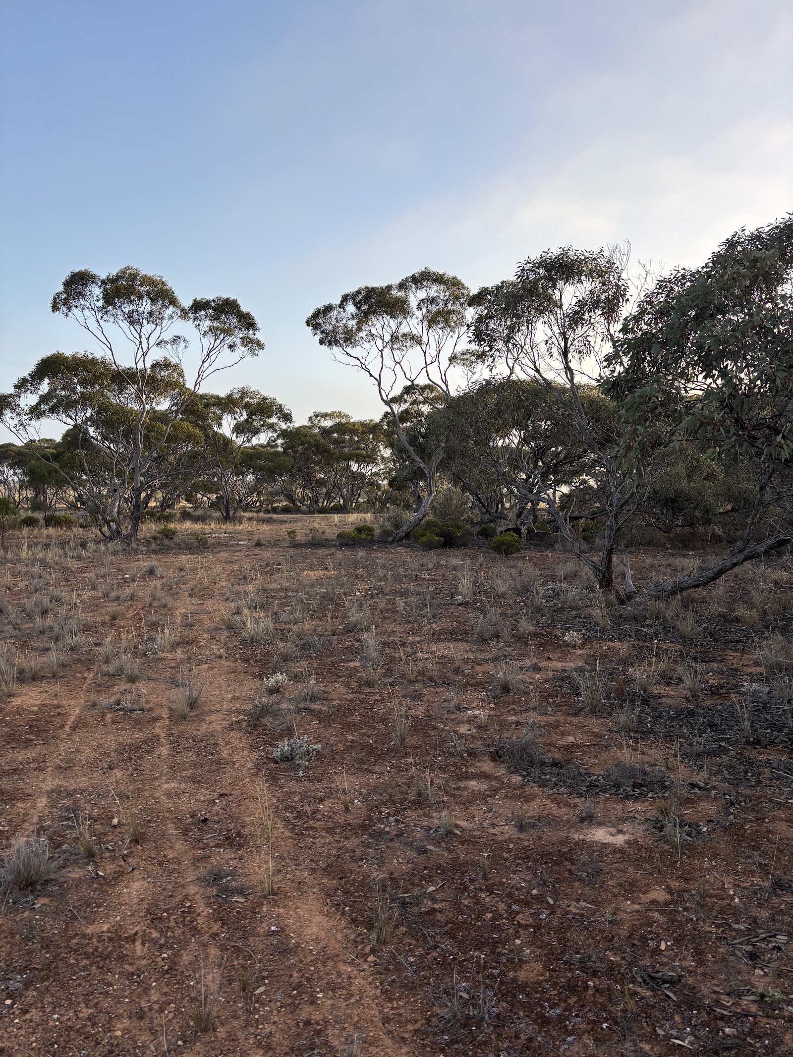 Old MRD Campsite 3