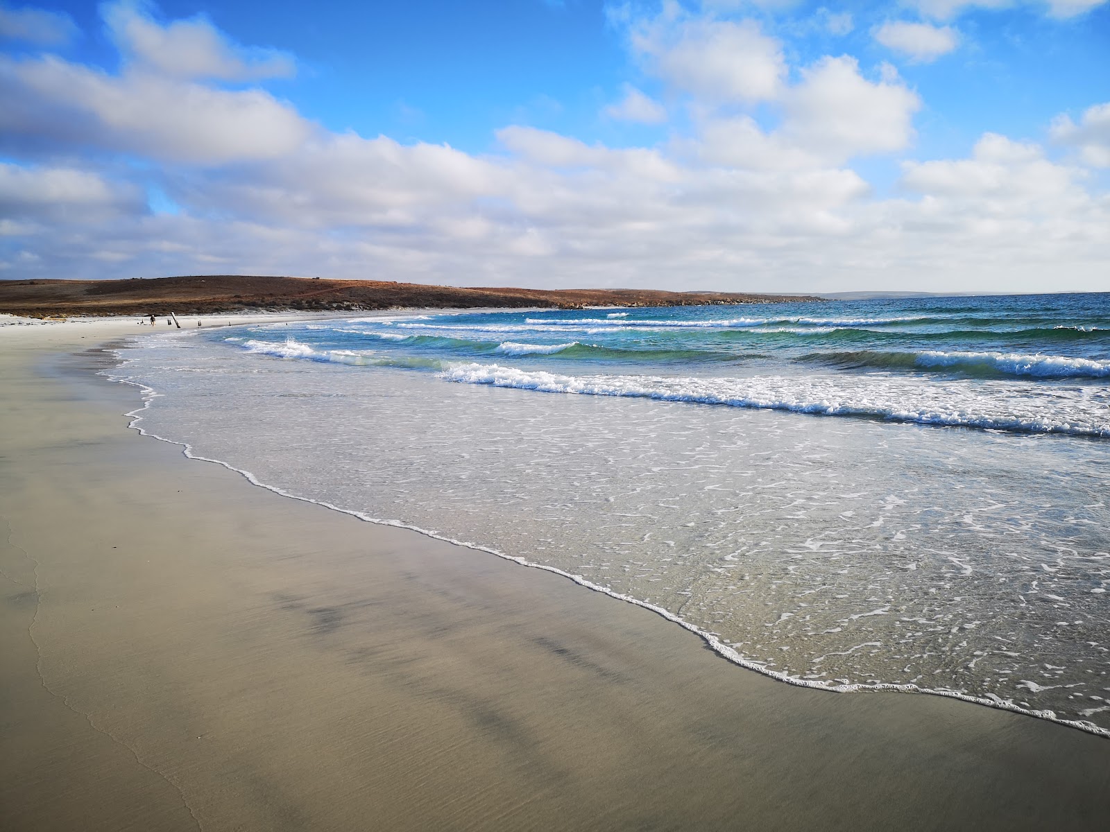 Lipson Cove 5
