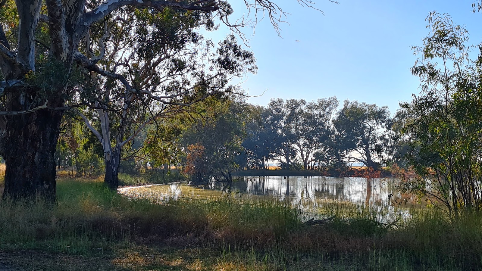 Daysdale Recreation Reserve 2