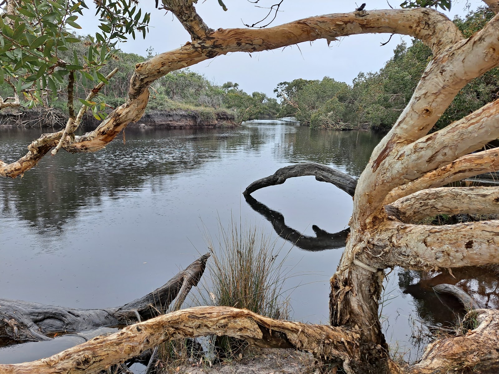 Mibanbah – Black Rocks campground 12