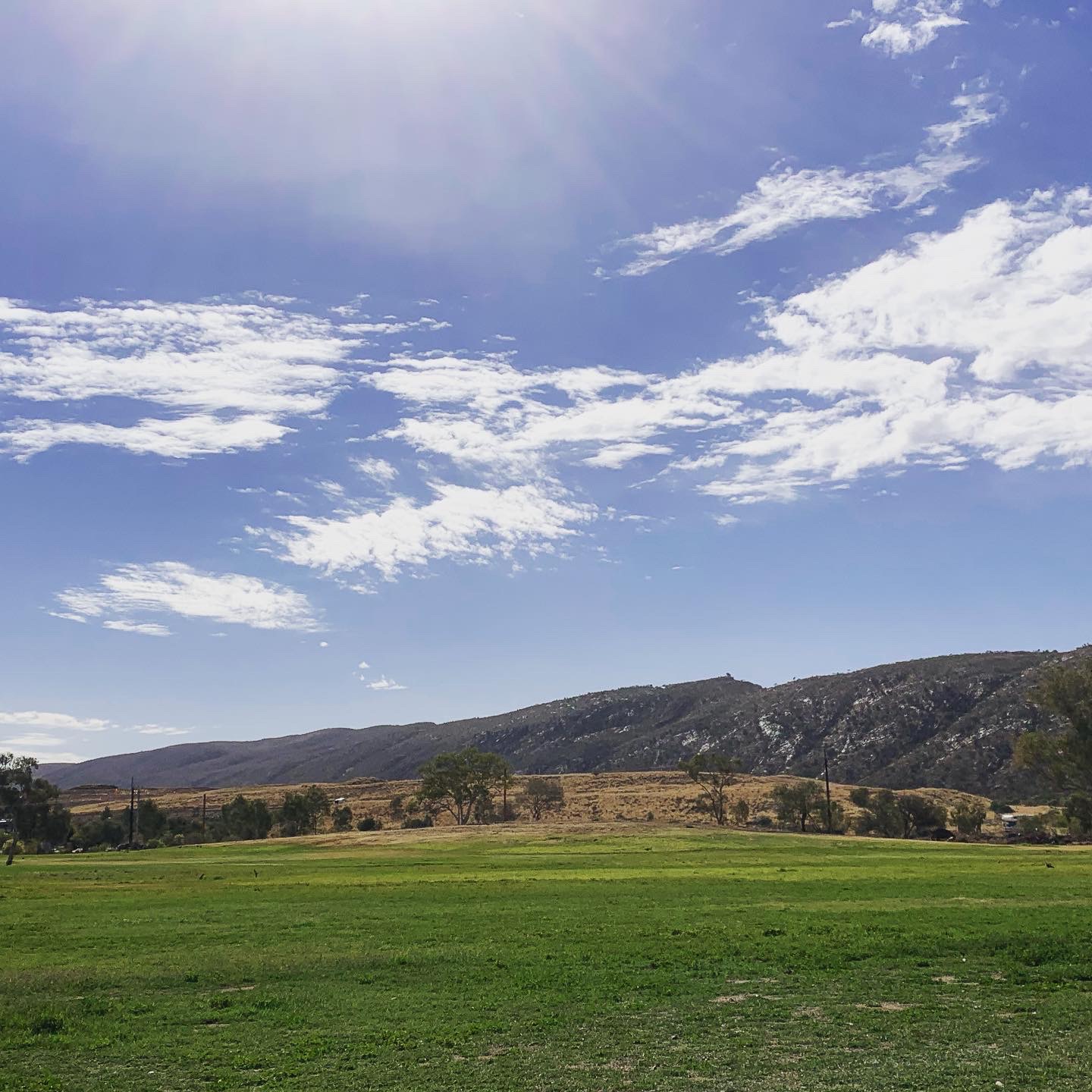 Blatherskite Park 3