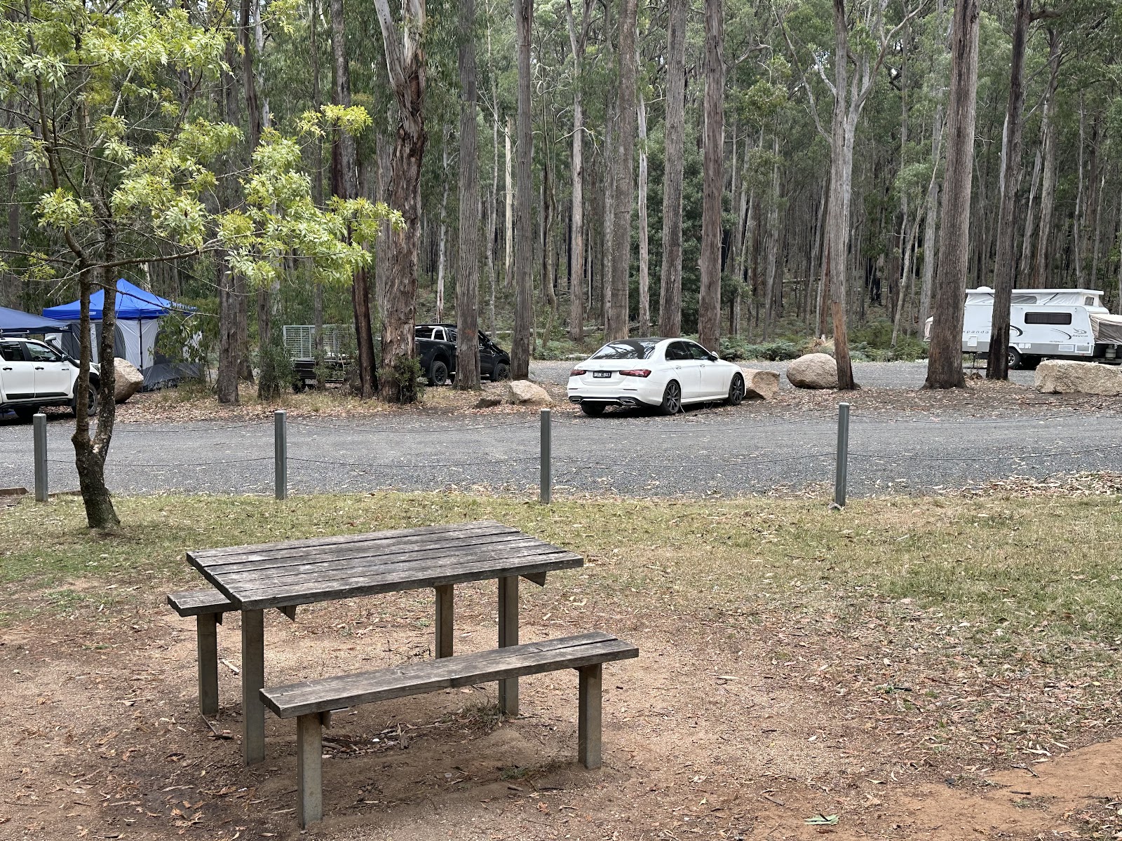 Firth Park Campground - Wombat SF 3