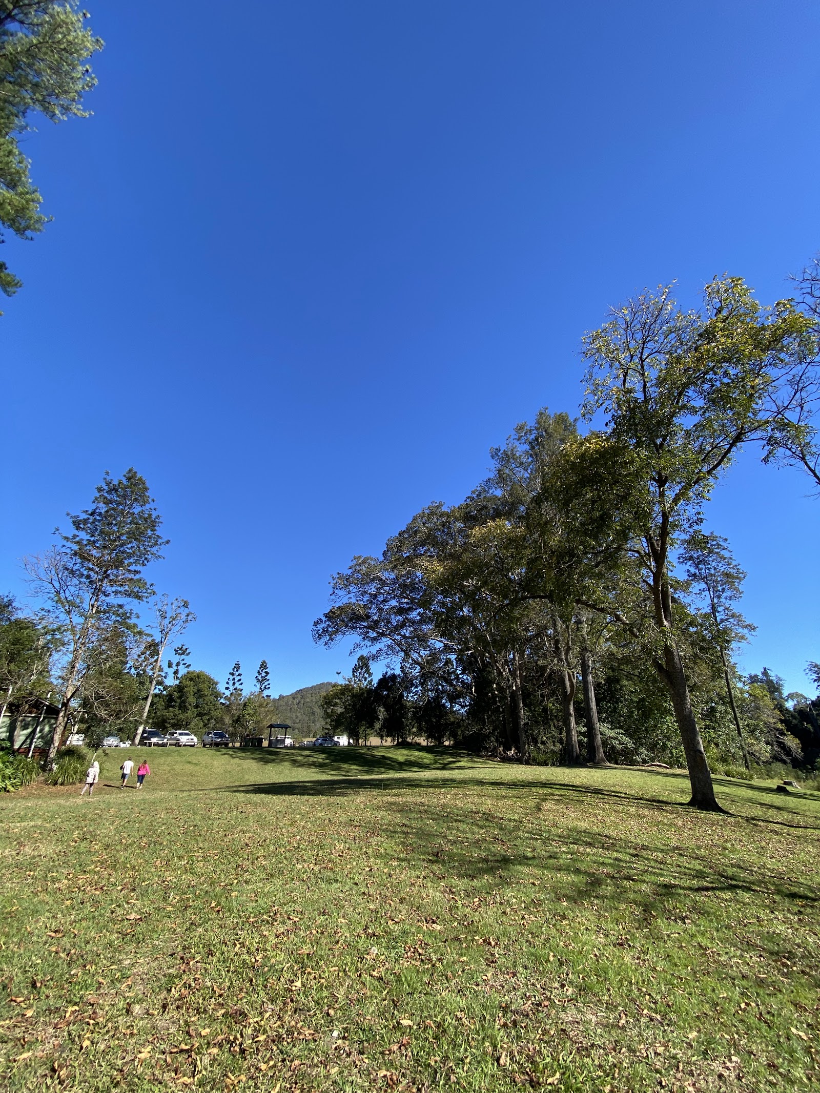 Little Yabba Creek Rest Area 3