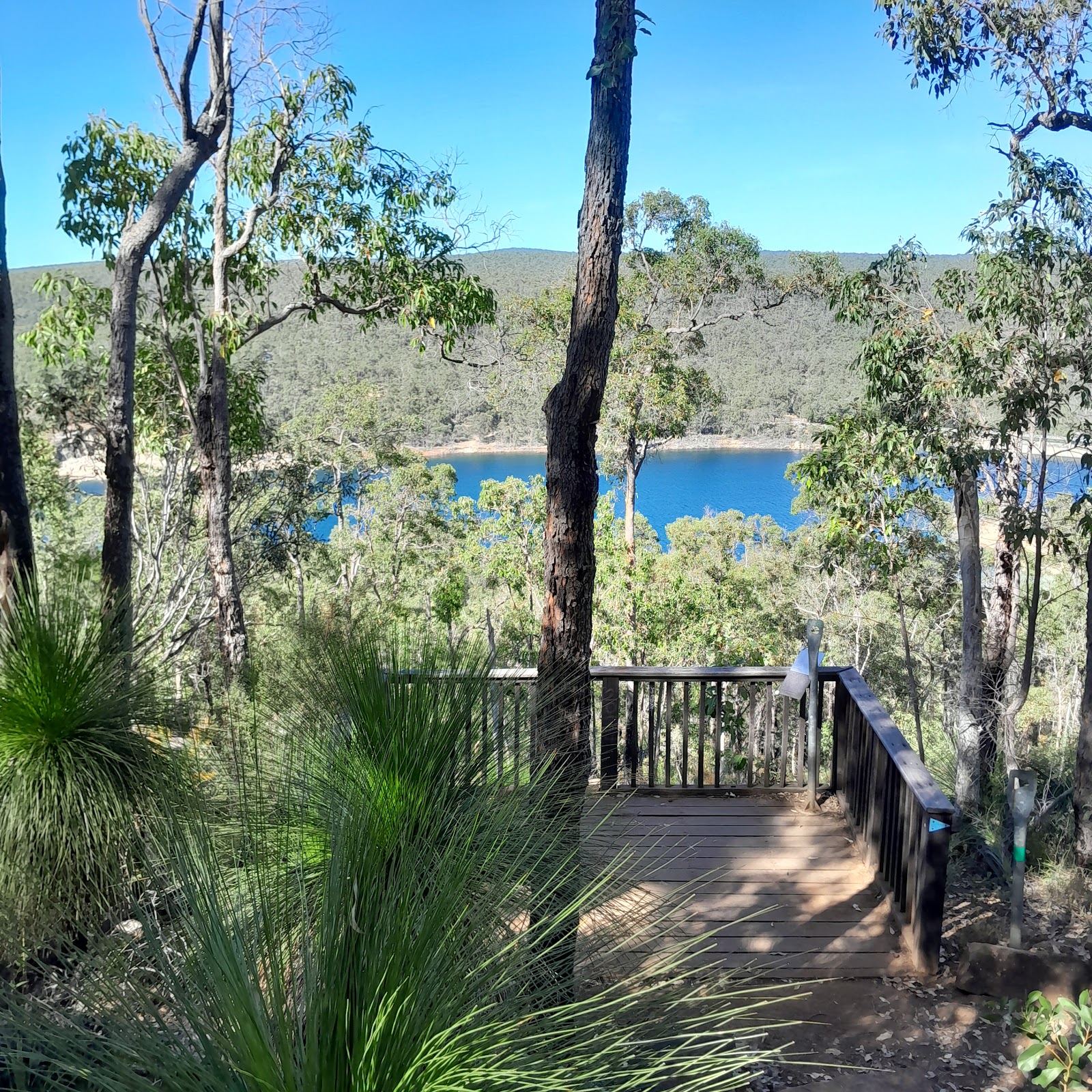 Perth Hills Discovery Centre and Campground 4