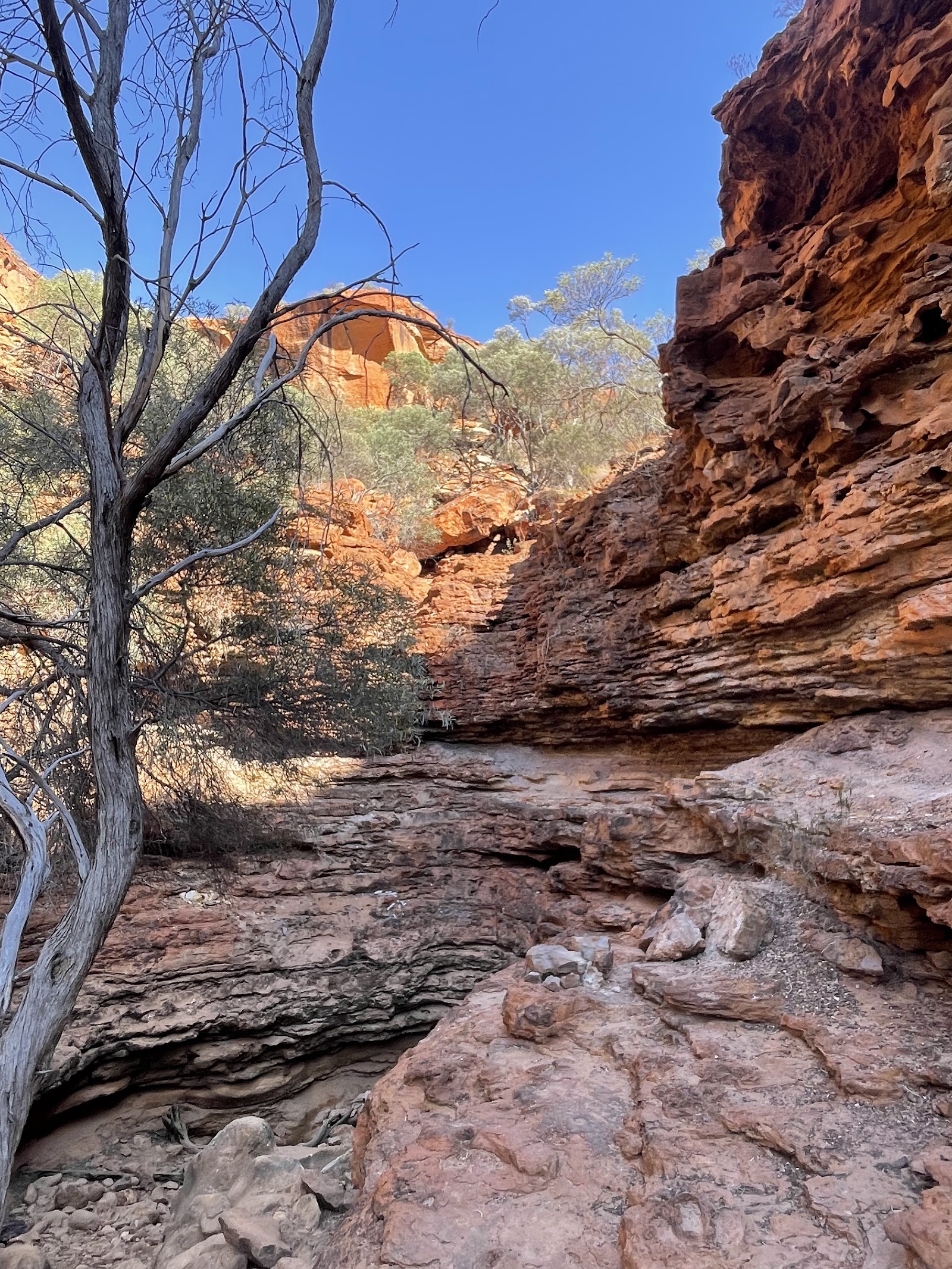 Temple Gorge Campground 2