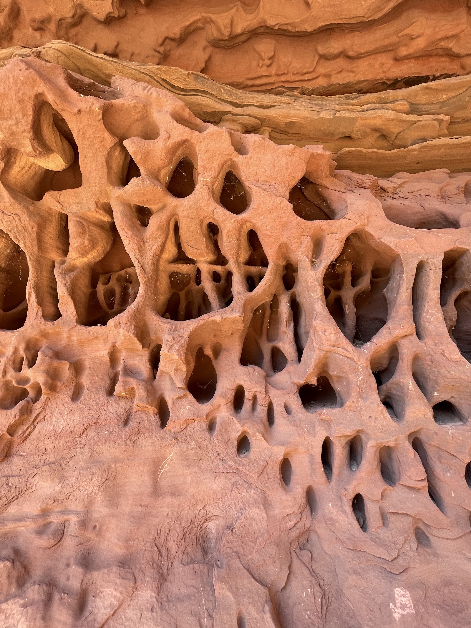 Temple Gorge Campground 3