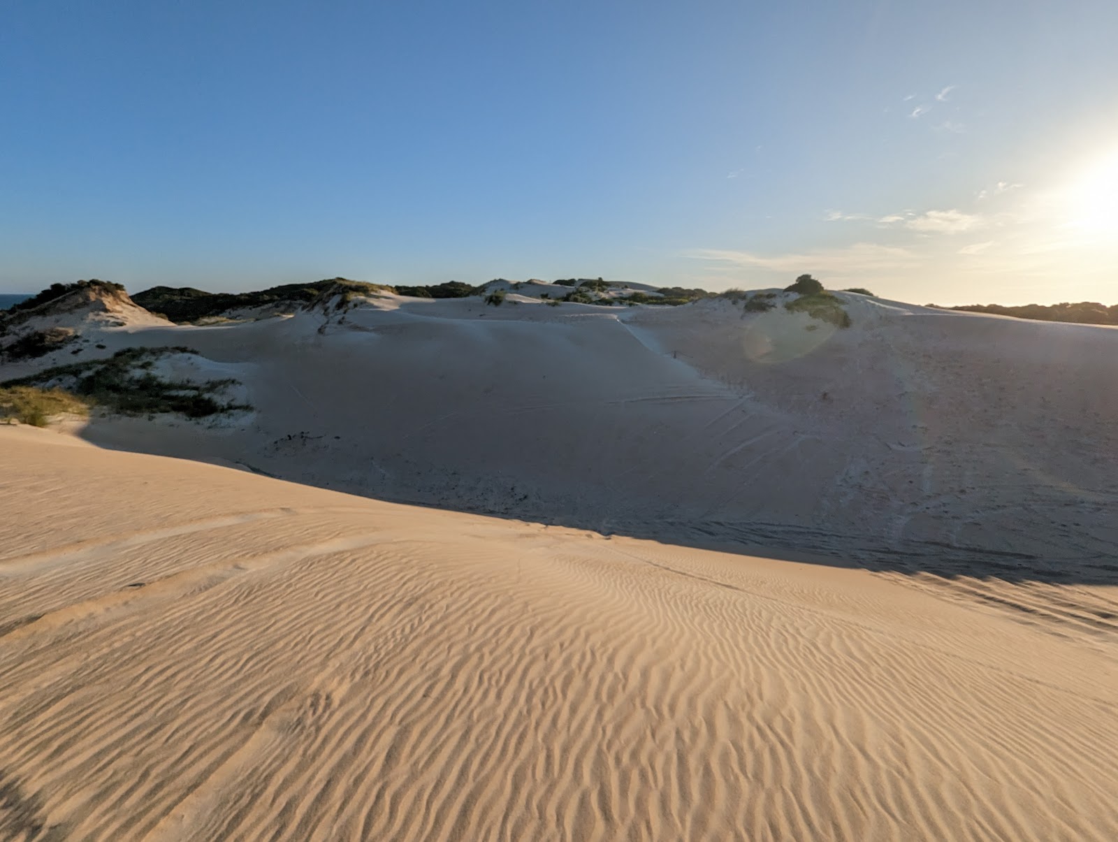 Beachport Conservation Park 2