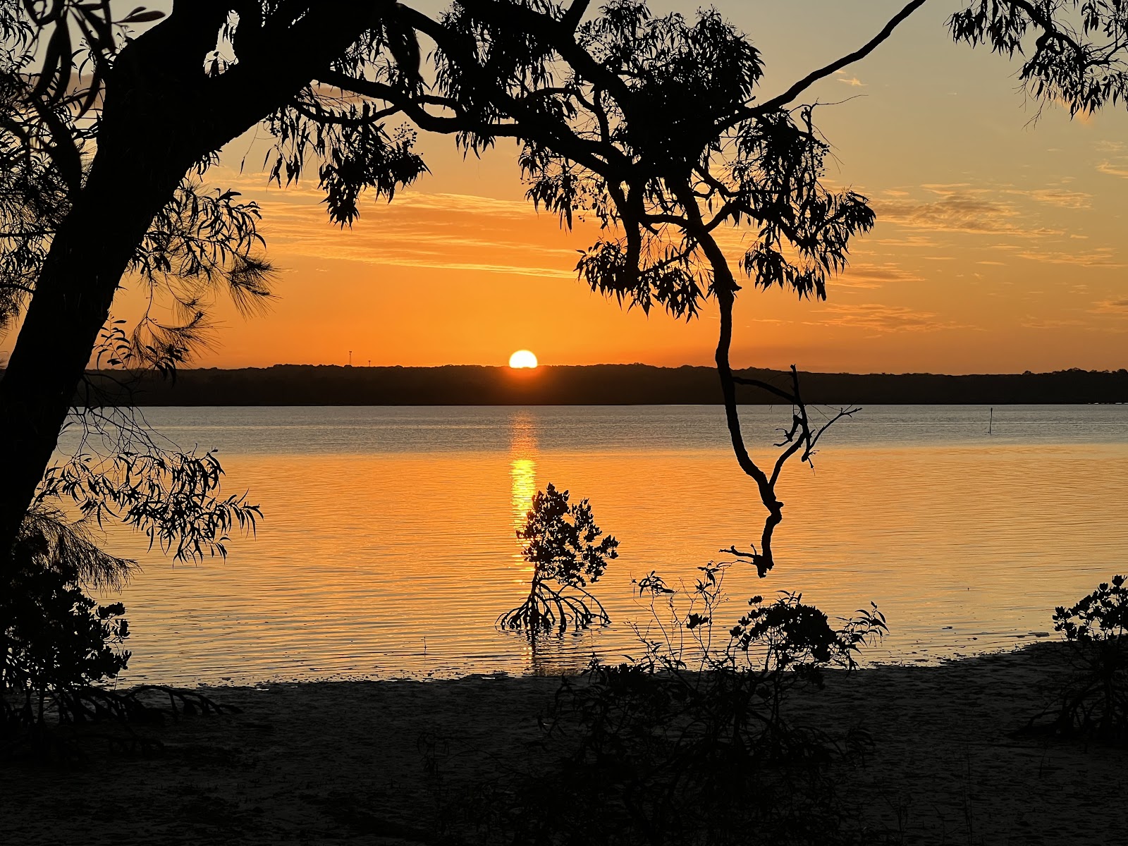 Poverty Point (Cooloola) camping area 2