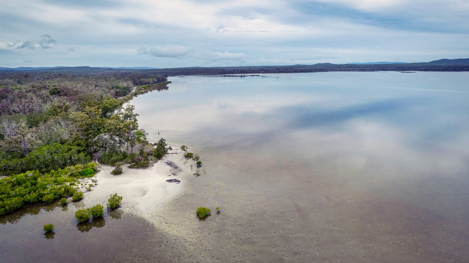 Poverty Point (Cooloola) camping area 3