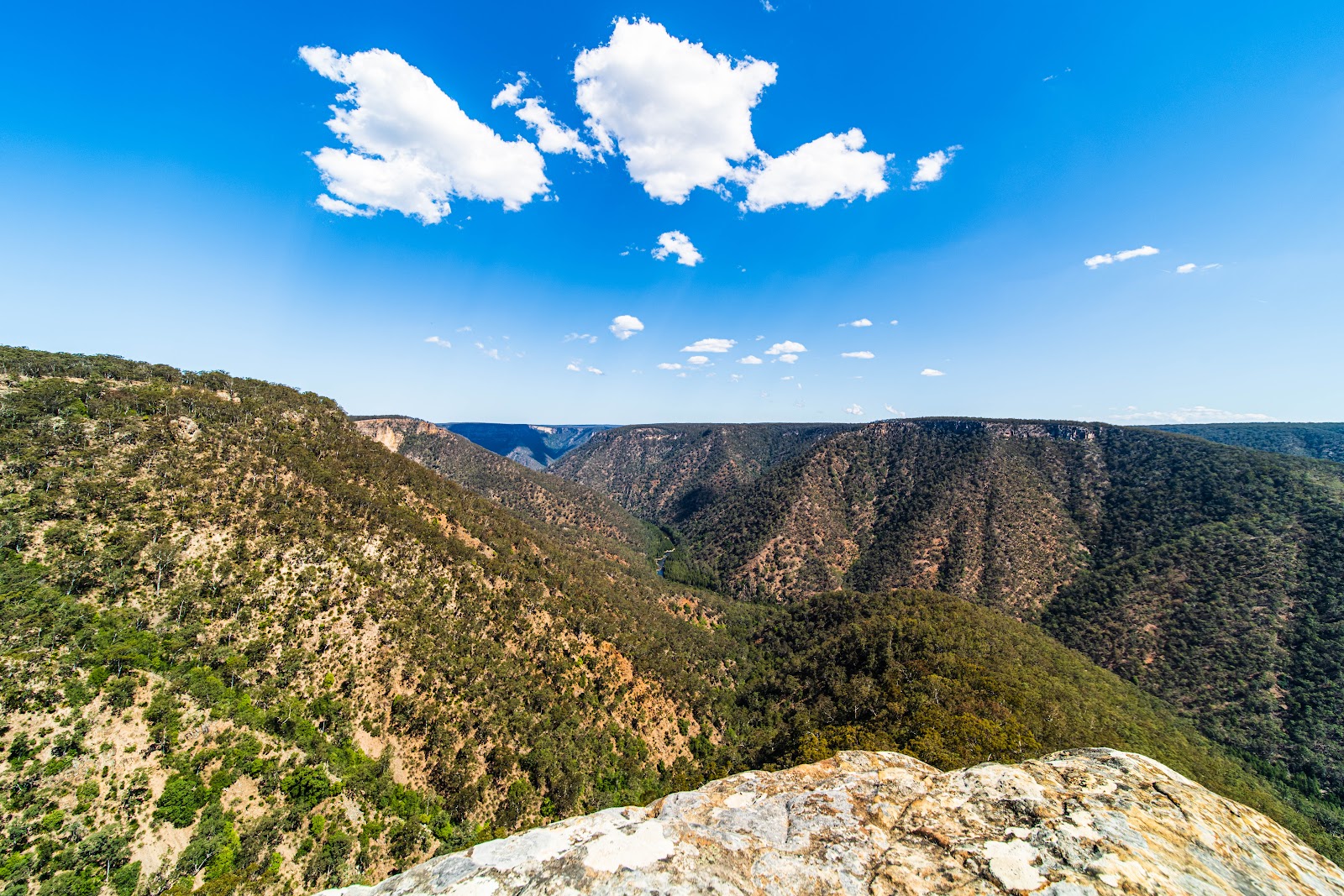 Badgerys Lookout 2