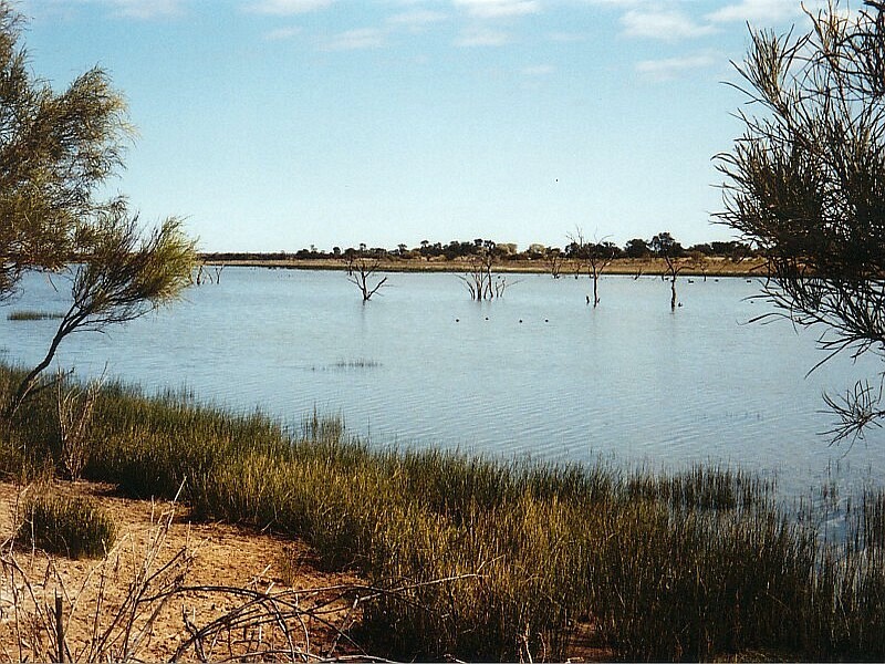 Lake Bindegolly National Park 3