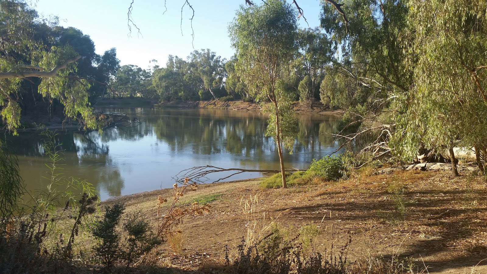 Wakool River 5