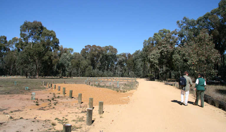 Wanda Wandong Campground 3