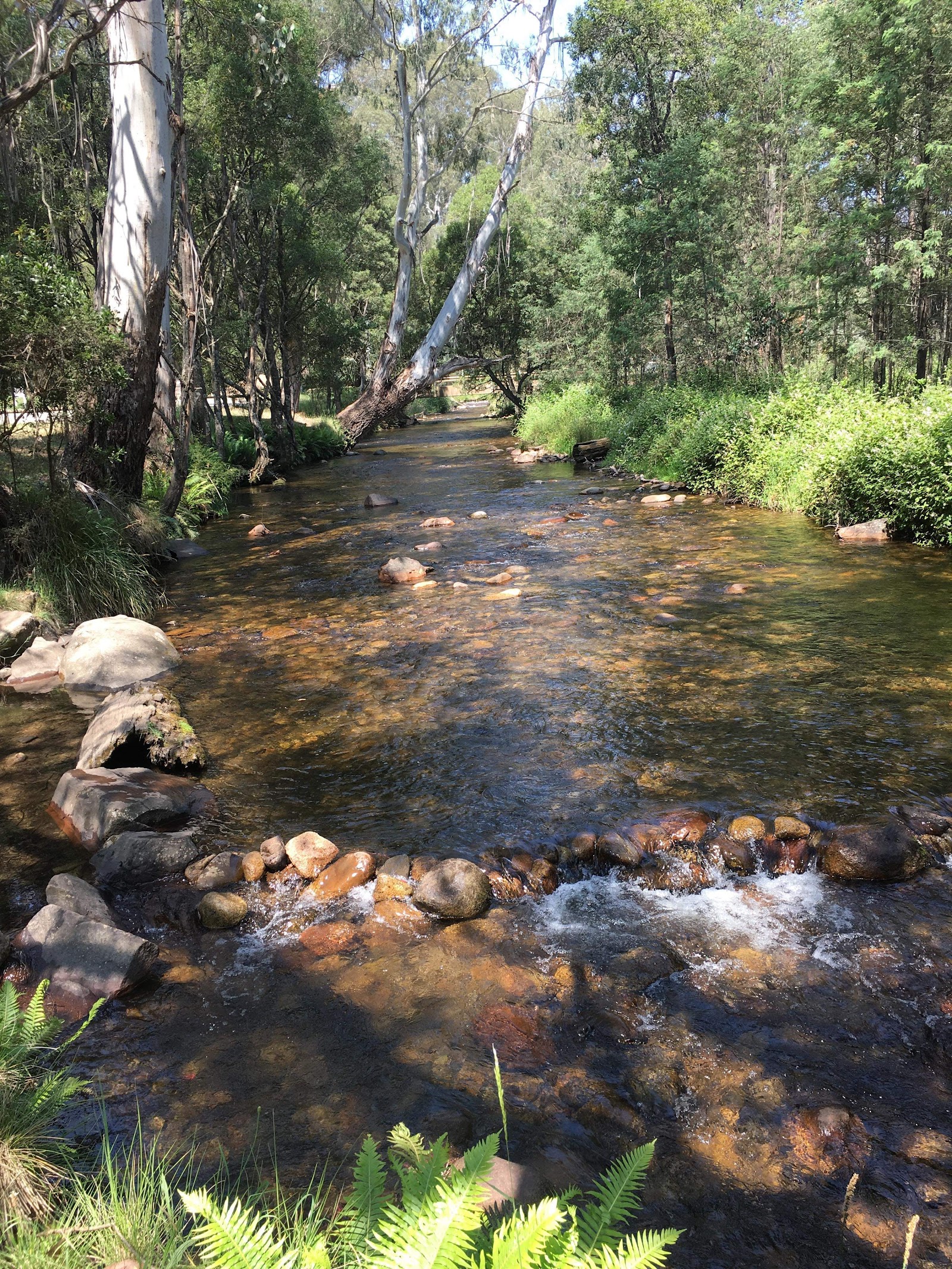 Carters Mill Campground 8