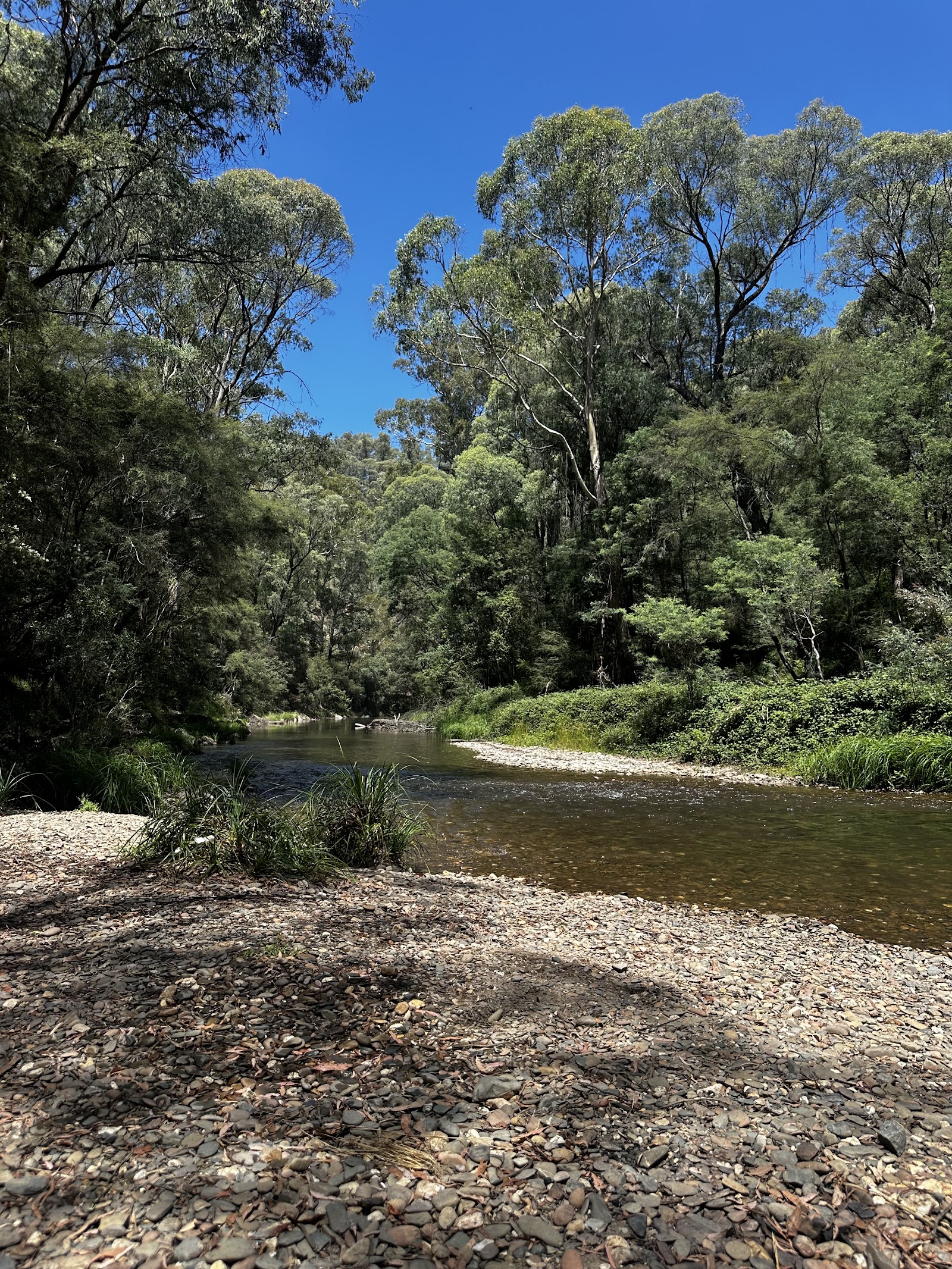 Tunnel Bend Reserve 2