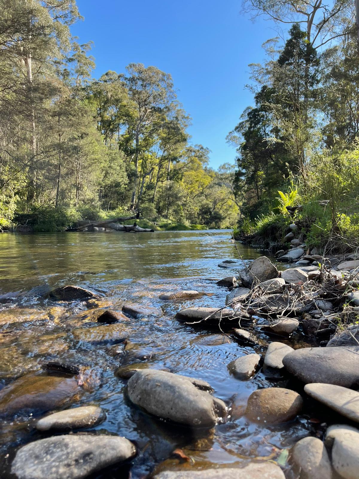 Tunnel Bend Reserve 9