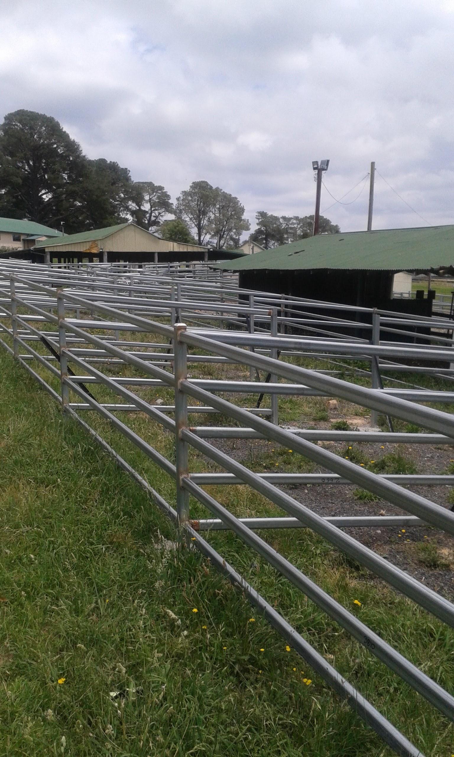 Oberon Showground 3