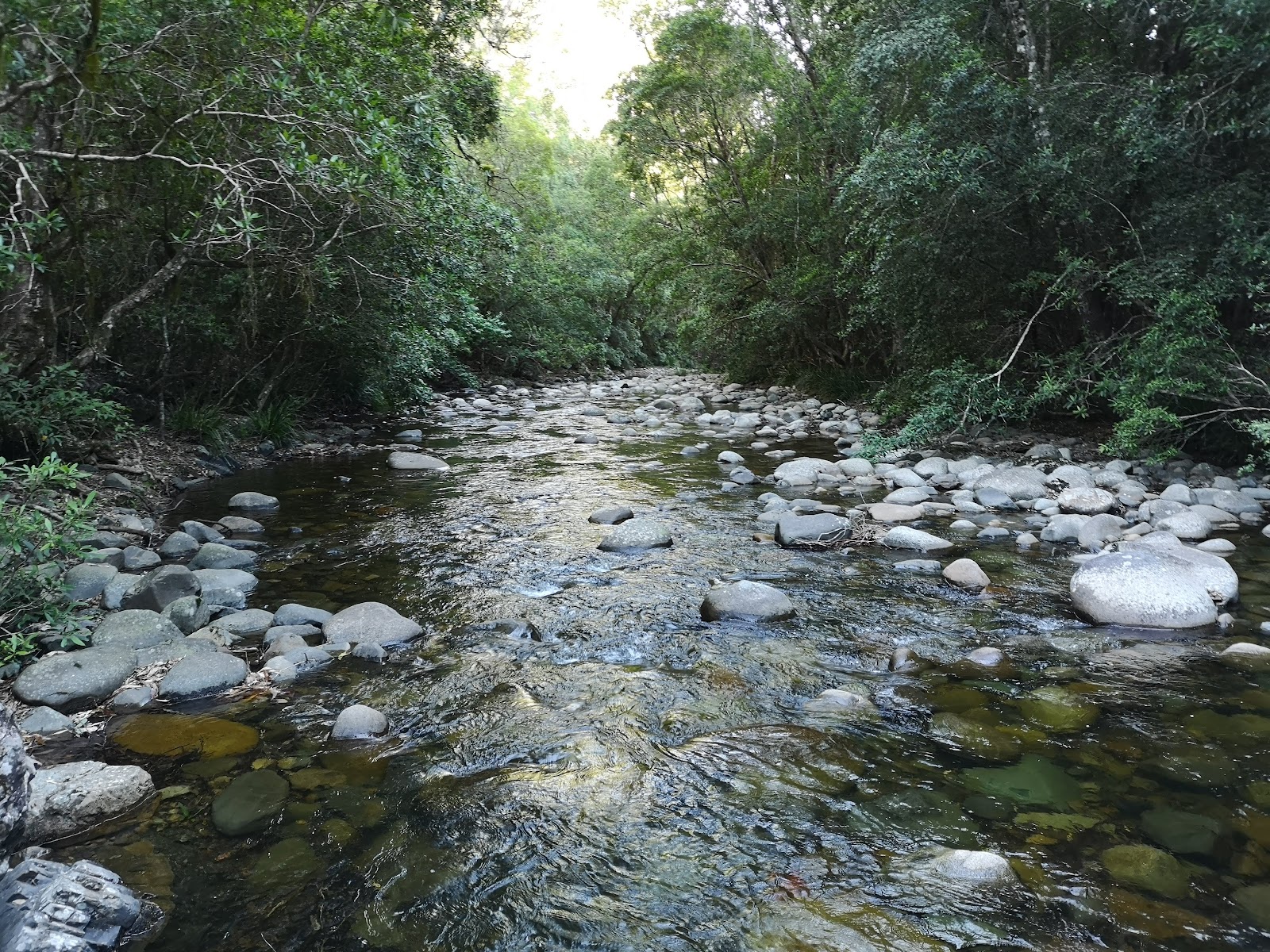 Gloucester River campground and picnic area 2