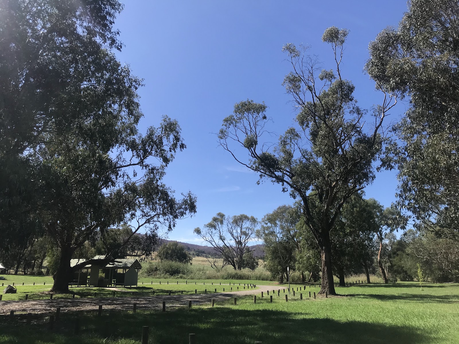 Hume and Hovell Track - Henry Angel Trackhead 2