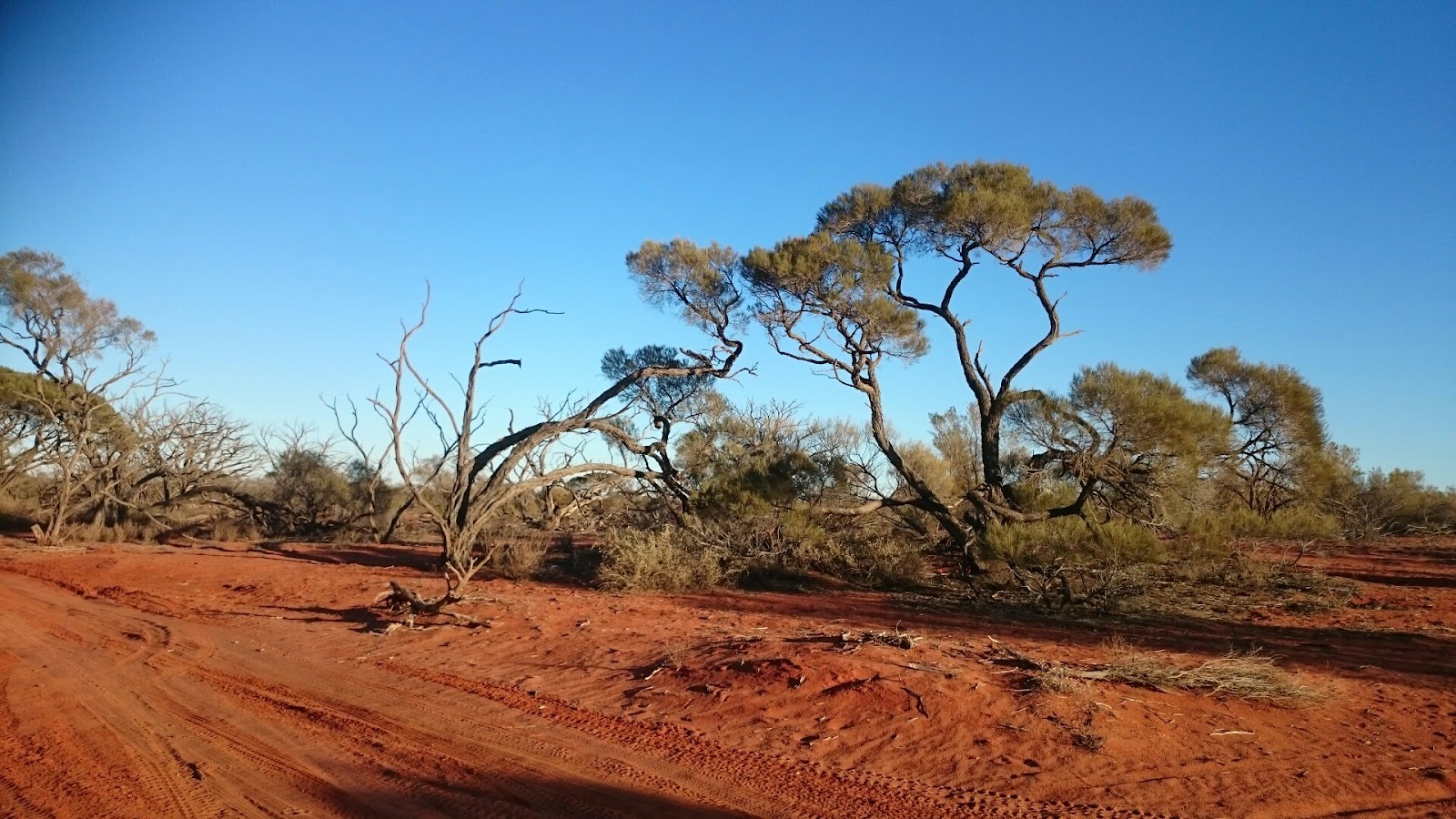 Discovery Parks - Roxby Downs 6