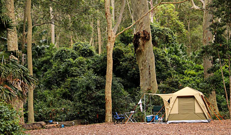 Depot Beach Campground 5