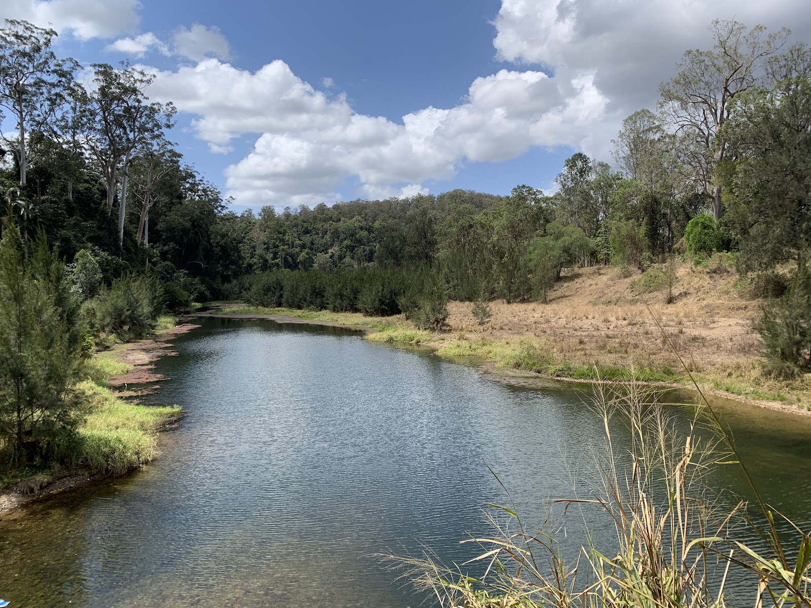 Yabba Creek Park 2