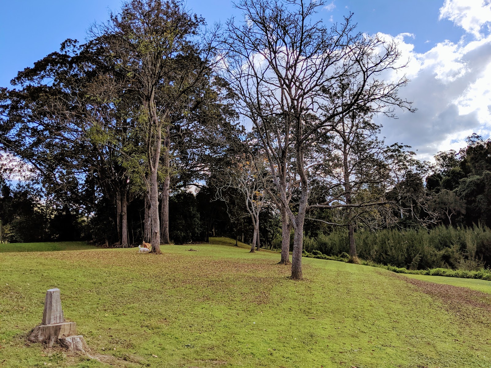 Yabba Creek Park 3