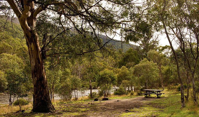Island Bend Middle Campground 2
