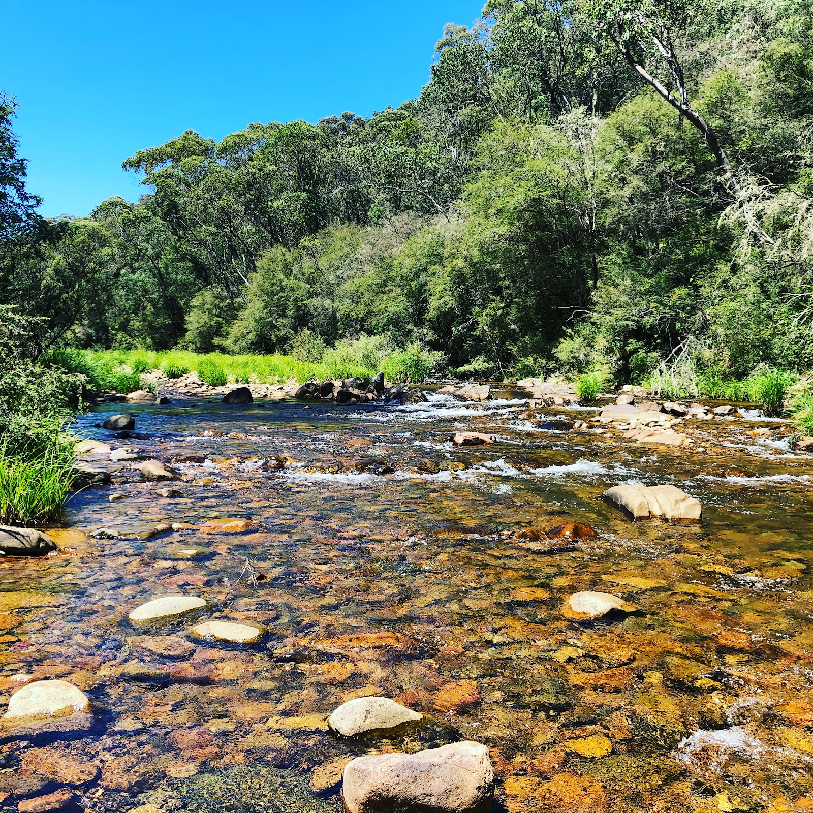 Sandy Flat Campground 2