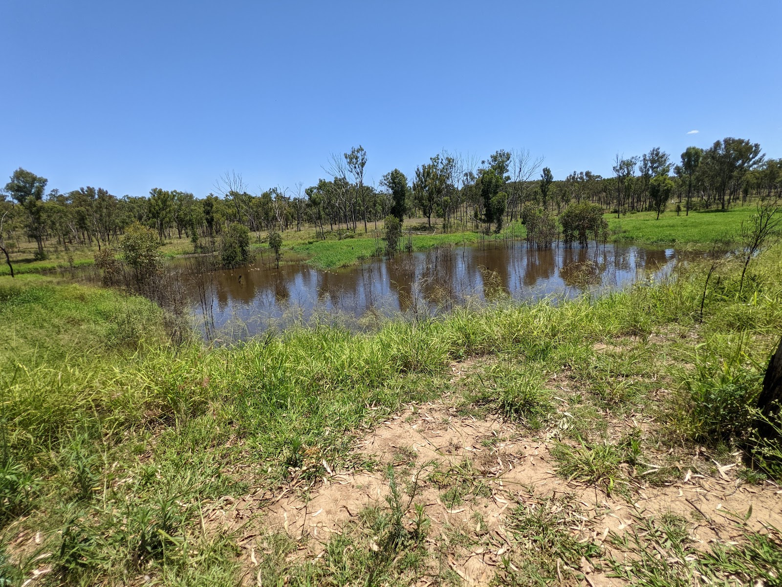 Moonlight Dam Camping Area 3