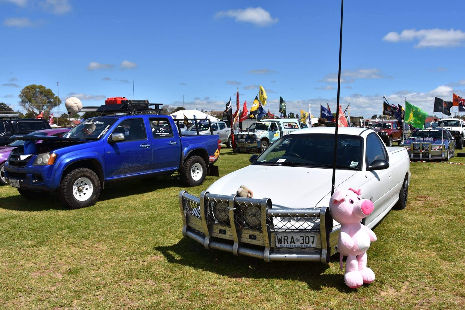 Naracoorte Showgrounds 2
