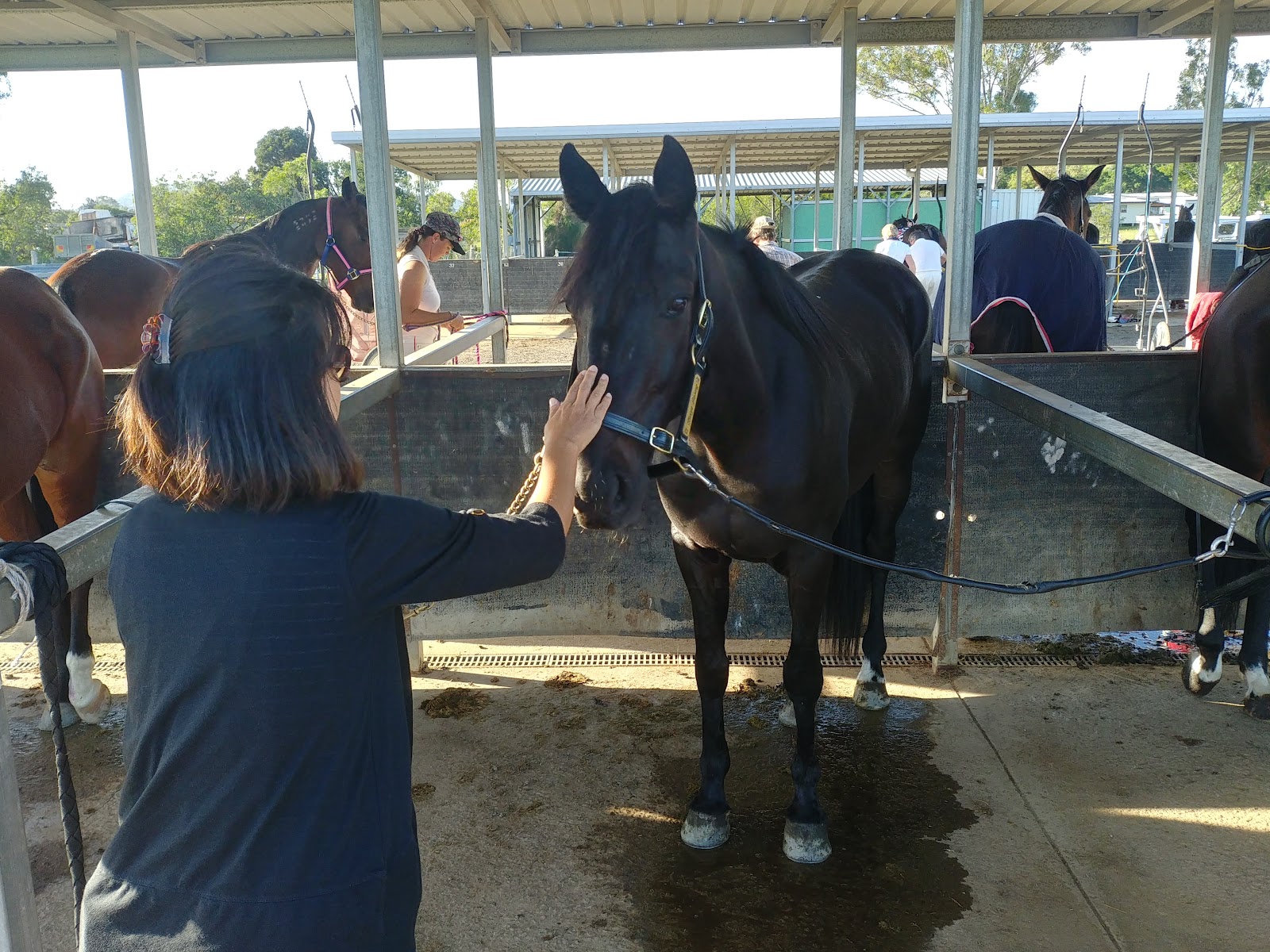Marburg Showgrounds 3