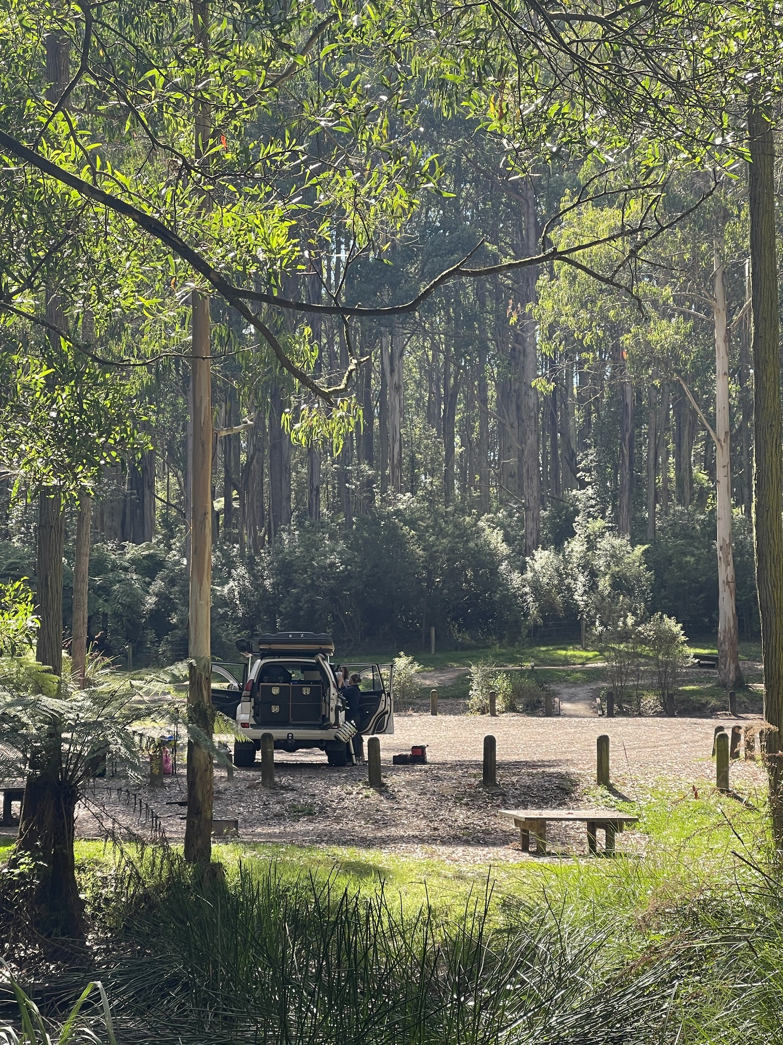 Big Hill Campground 3