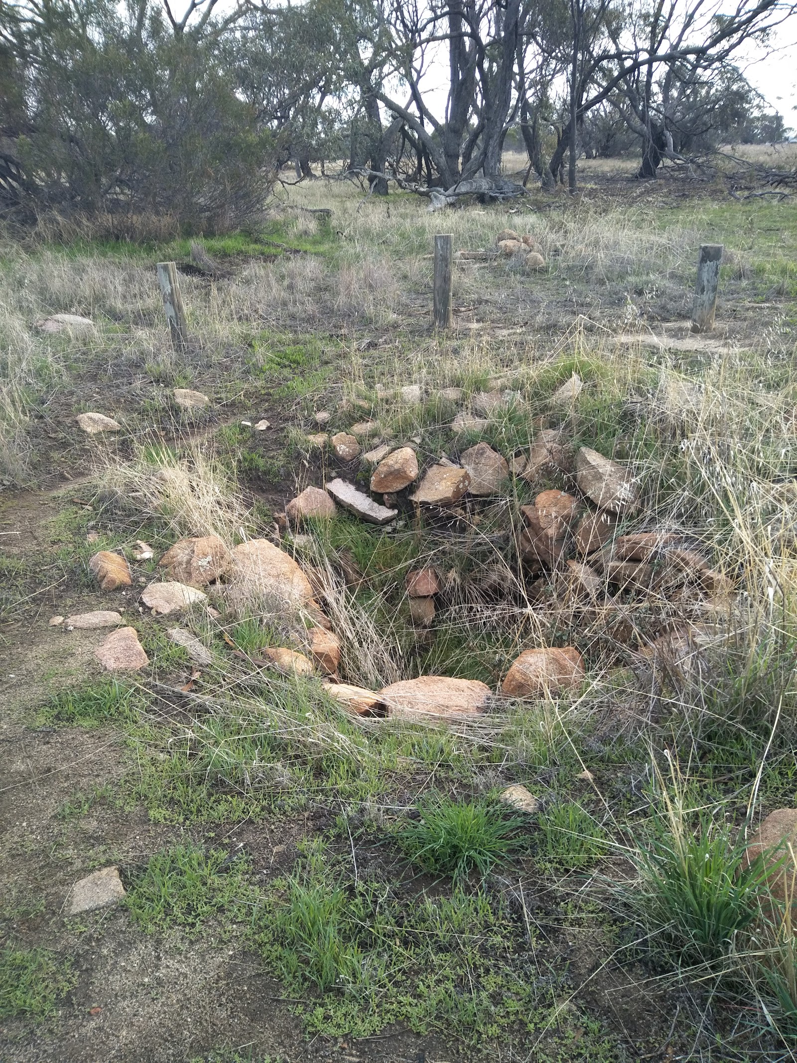 Old Doodlakine Townsite 2