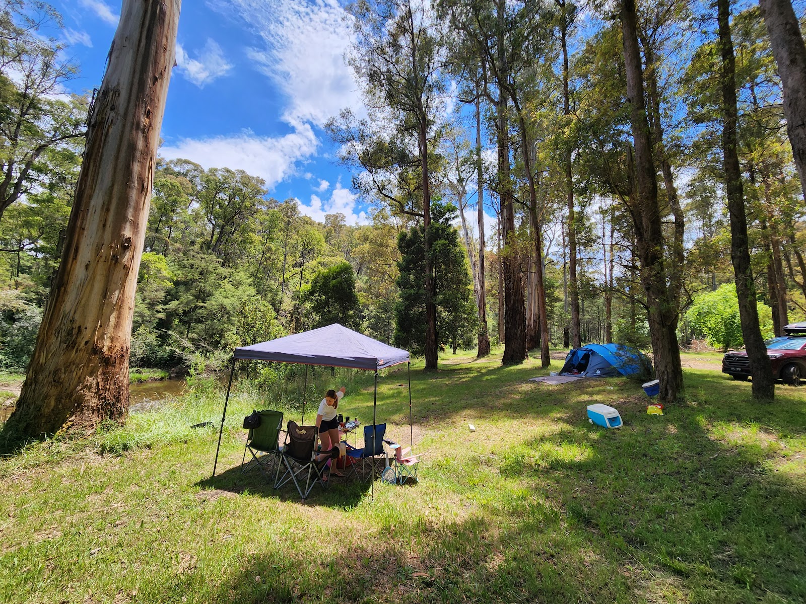 Twelve Mile Reserve 2